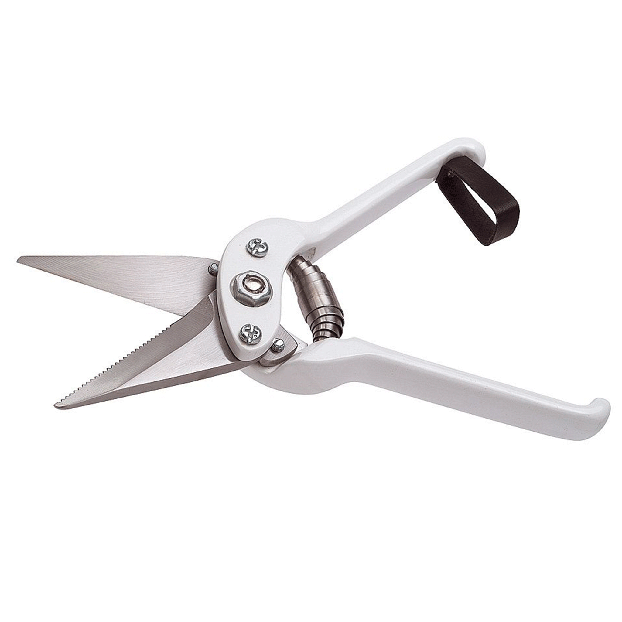 Stockshop Professional Serrated Footrot Shears