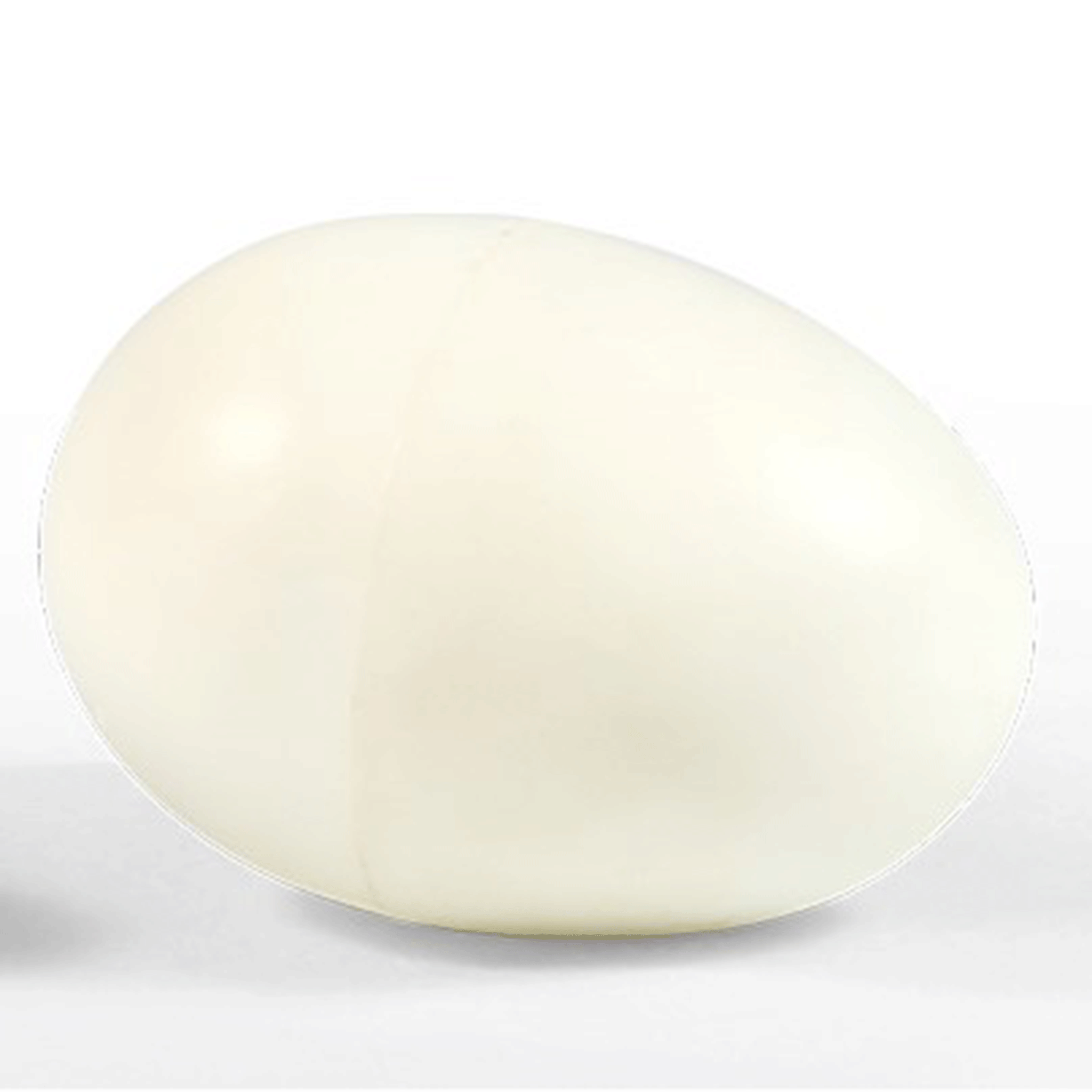Stockshop Standard Plastic Nest Dummy Egg