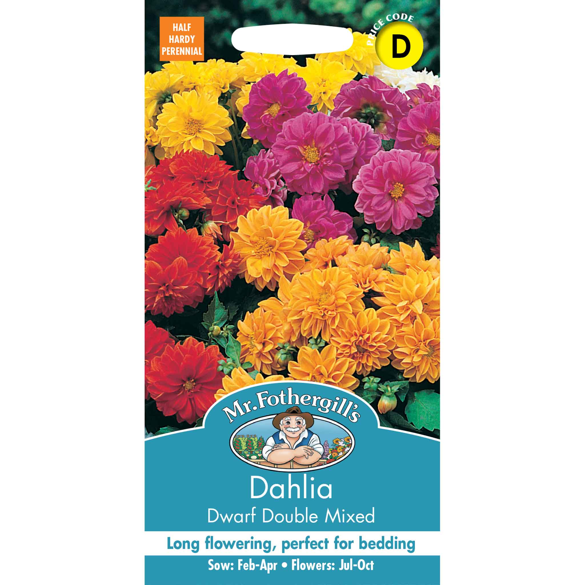 10129-Dahlia-Dwarf-Double-Mixed