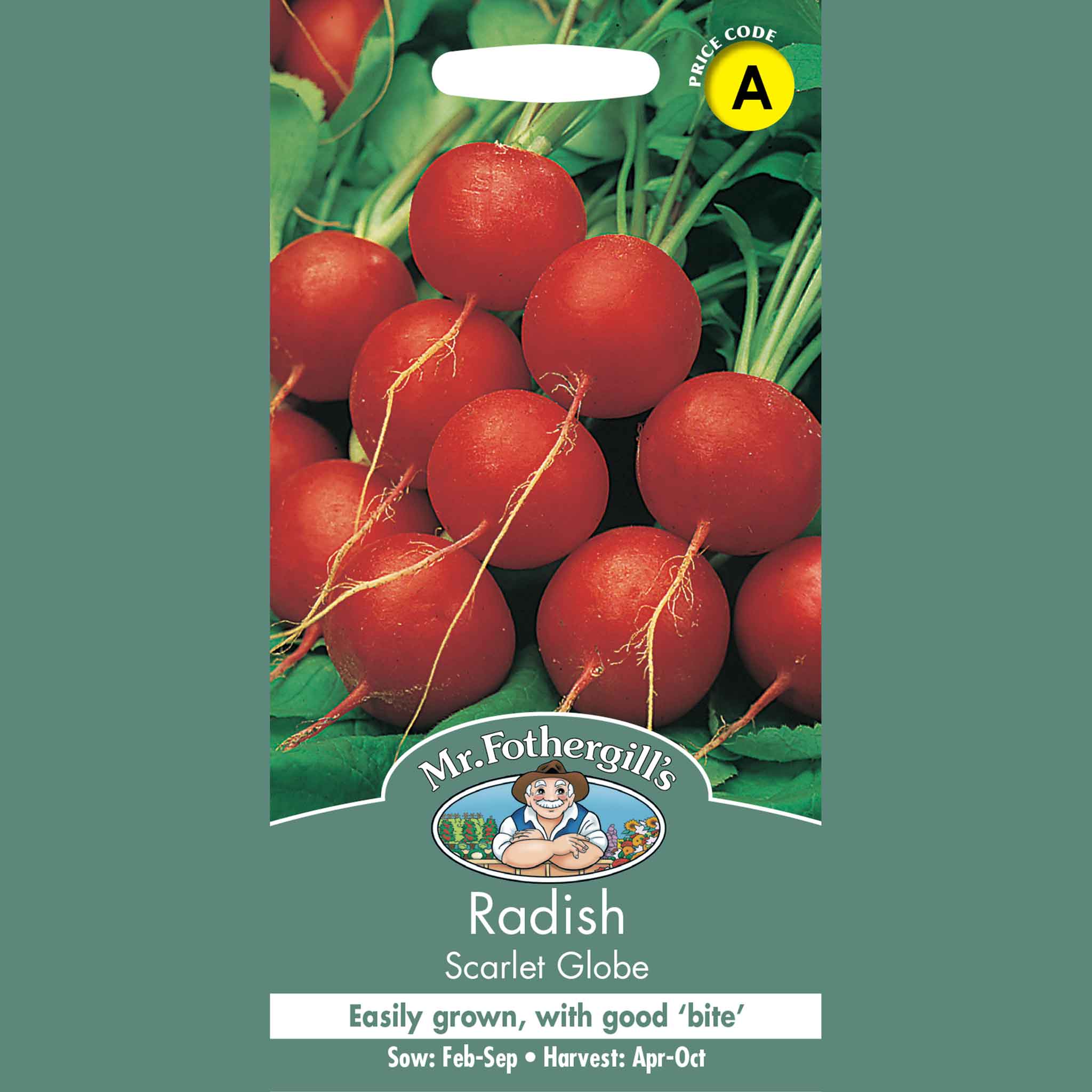 11069-Radish-Scarlet-Globe
