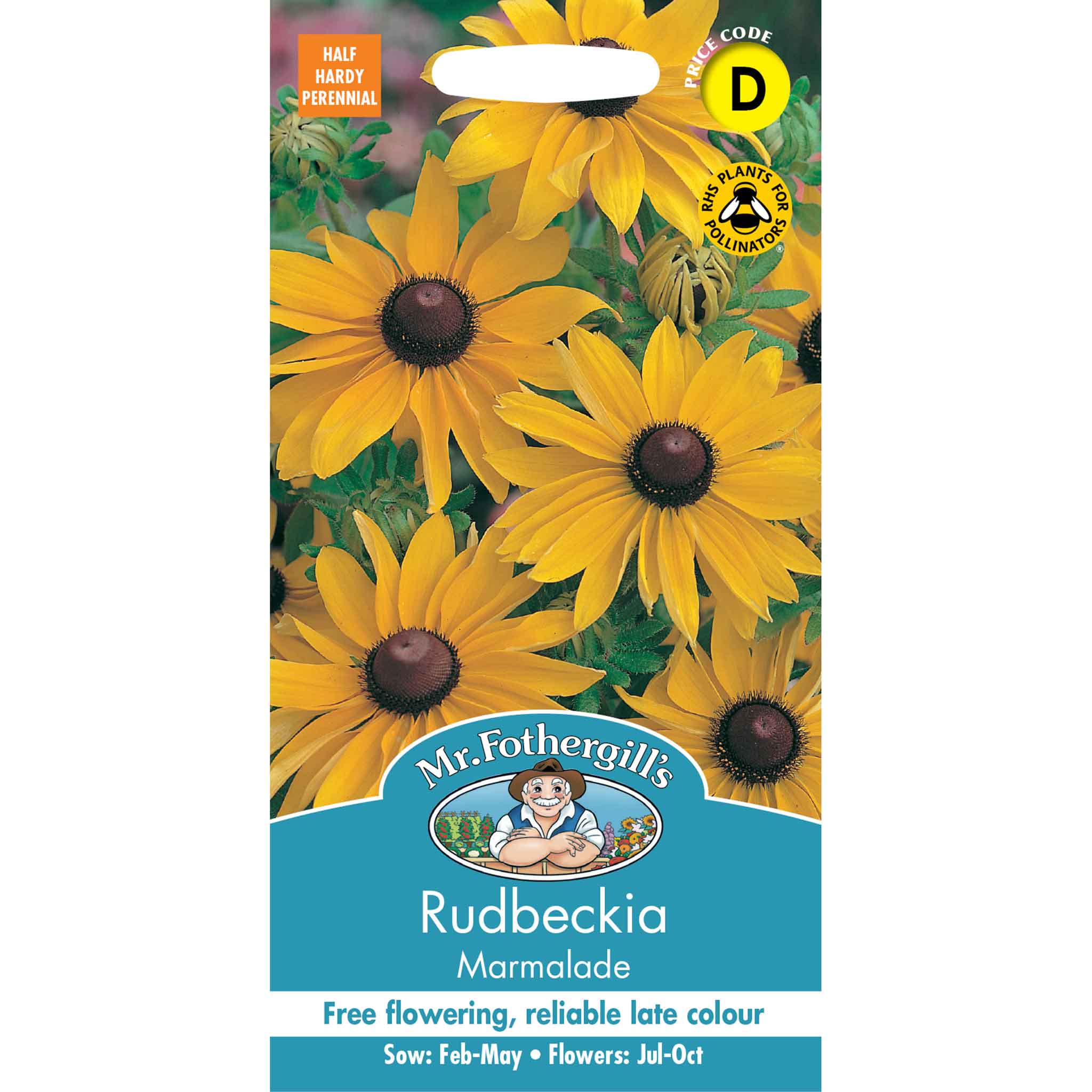 11176-Rudbeckia-Marmalade