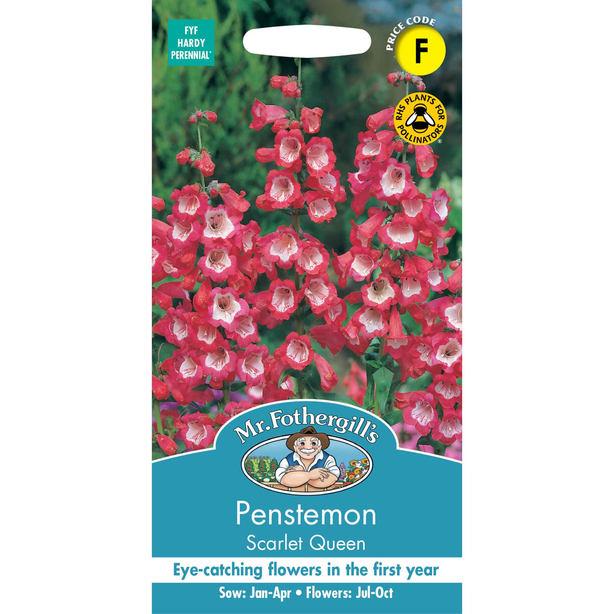 11686-Penstemon-Scarlet-Queen