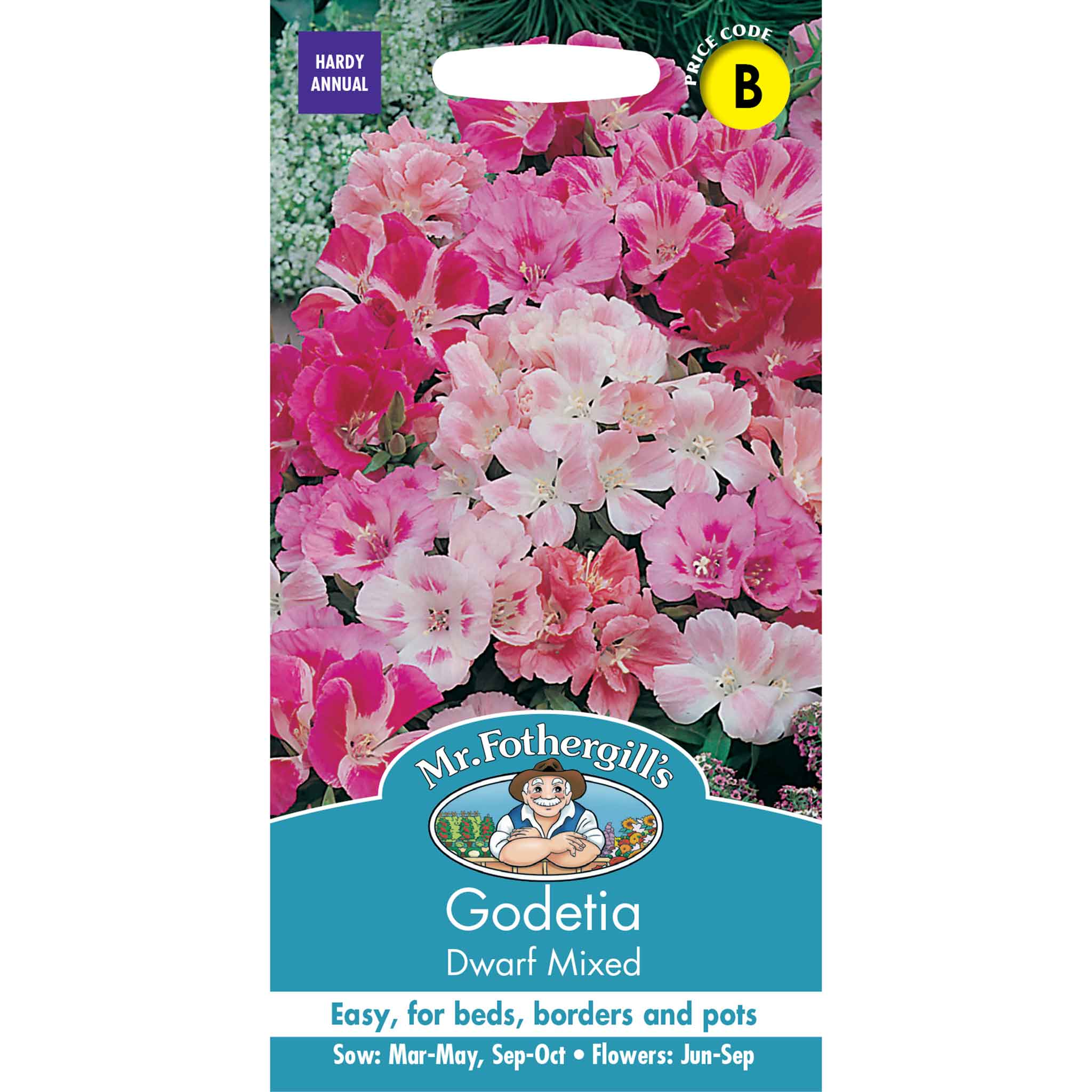 12014-Godetia-Dwarf-Mixed