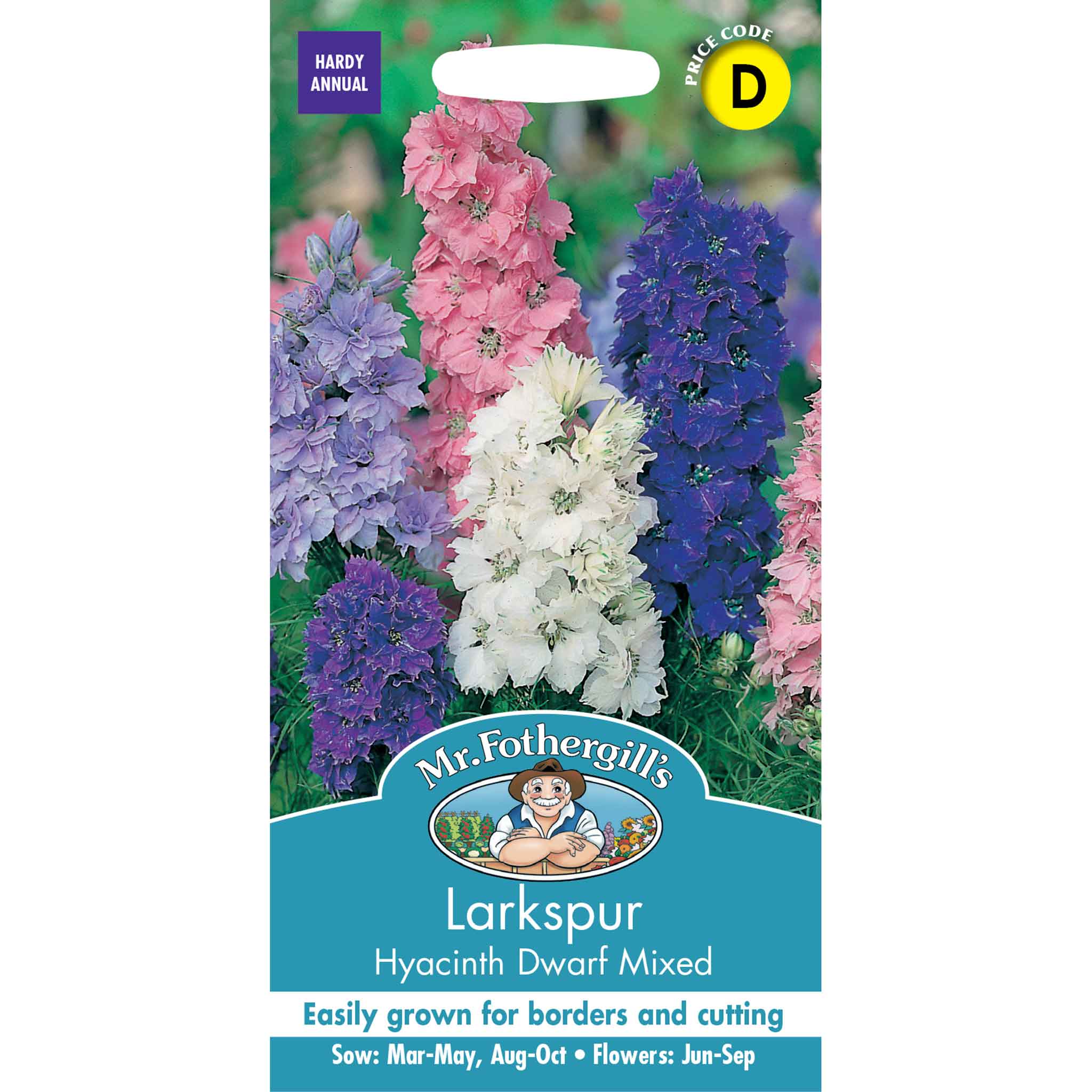 12272-Larkspur-Hyacinth-Dwarf-Mixed