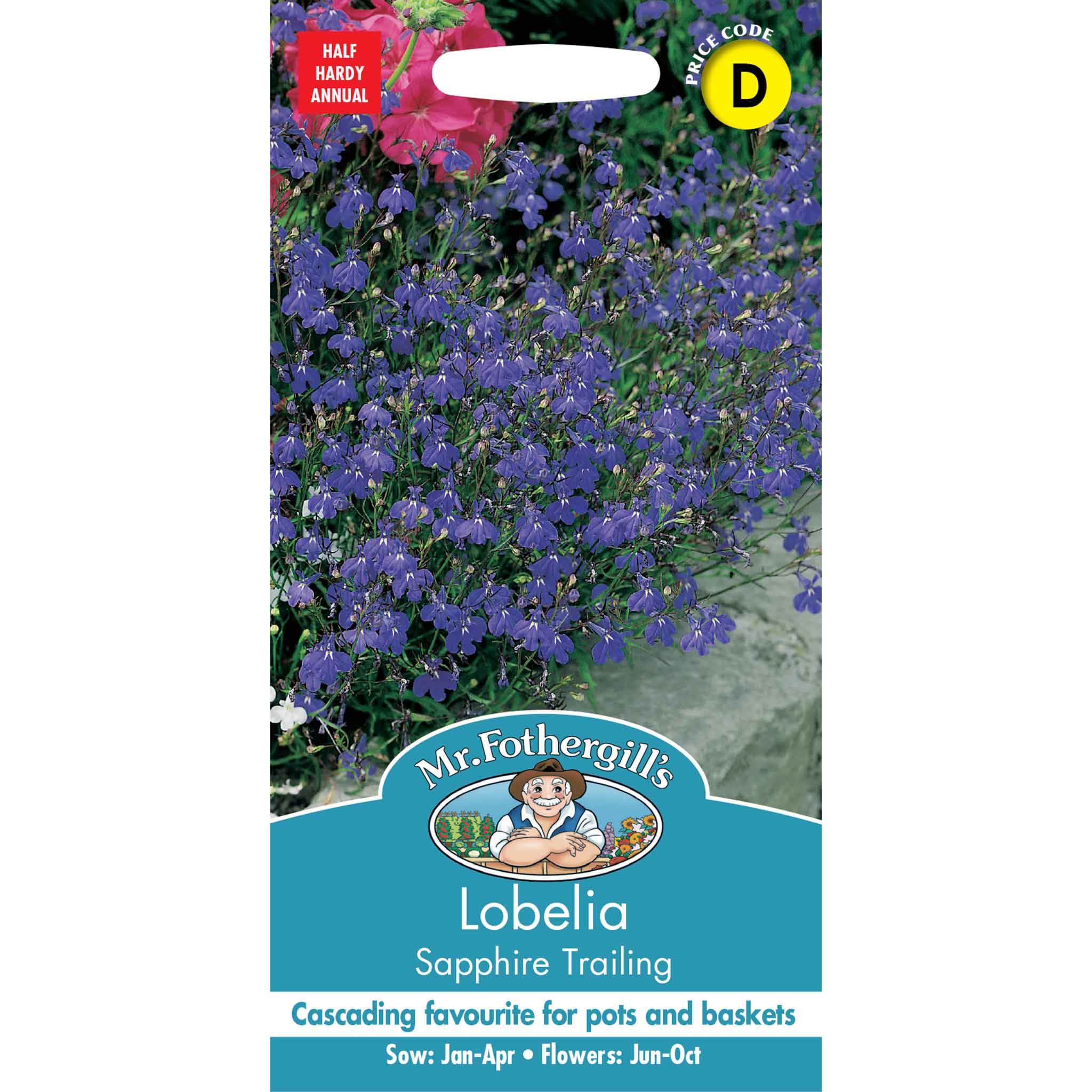 12686-Lobelia-Sapphire-Trailing