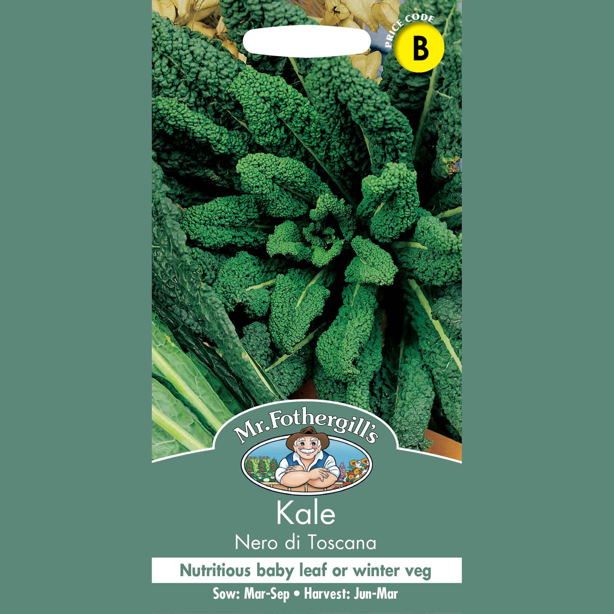 13840-Kale-Nero-Di-Toscana