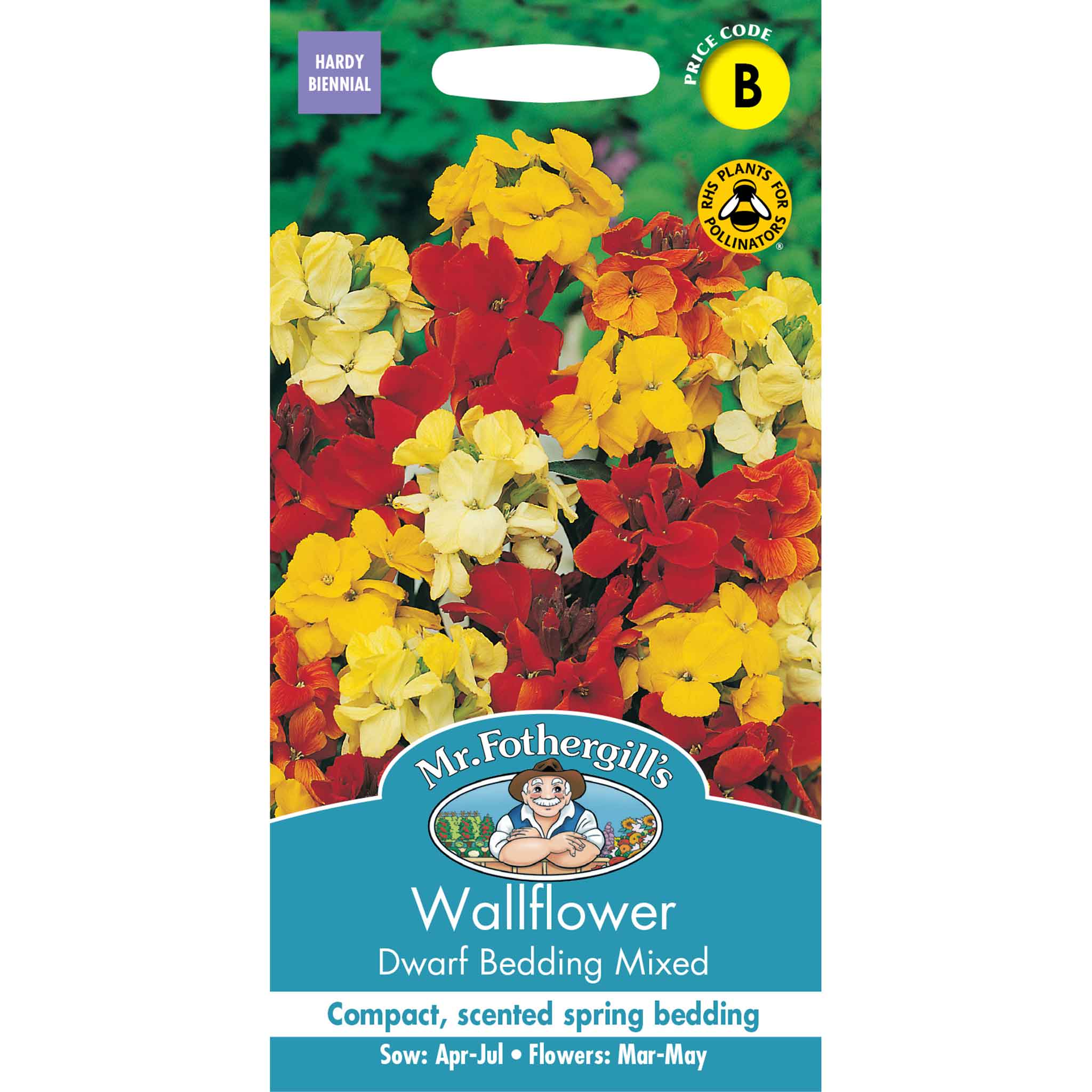 16972-Wallflower-Dwarf-Bedding-Mixed