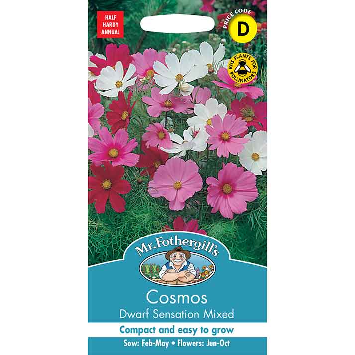 17324-Cosmos-Dwarf-Sensation-Mixed