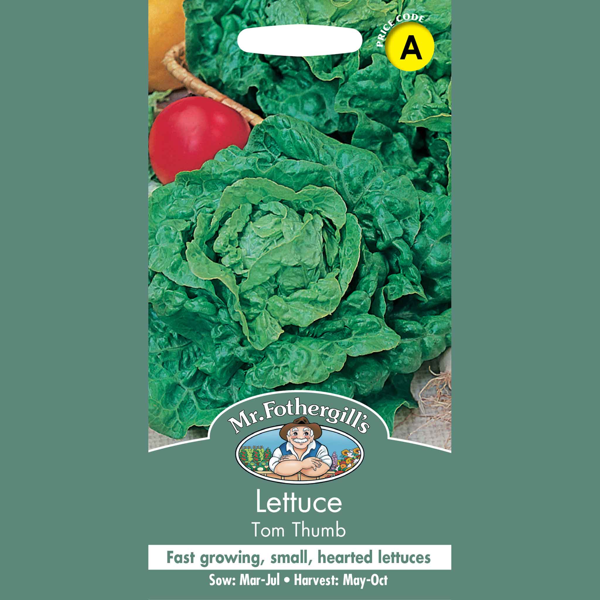 17652-Lettuce-Tom-Thumb