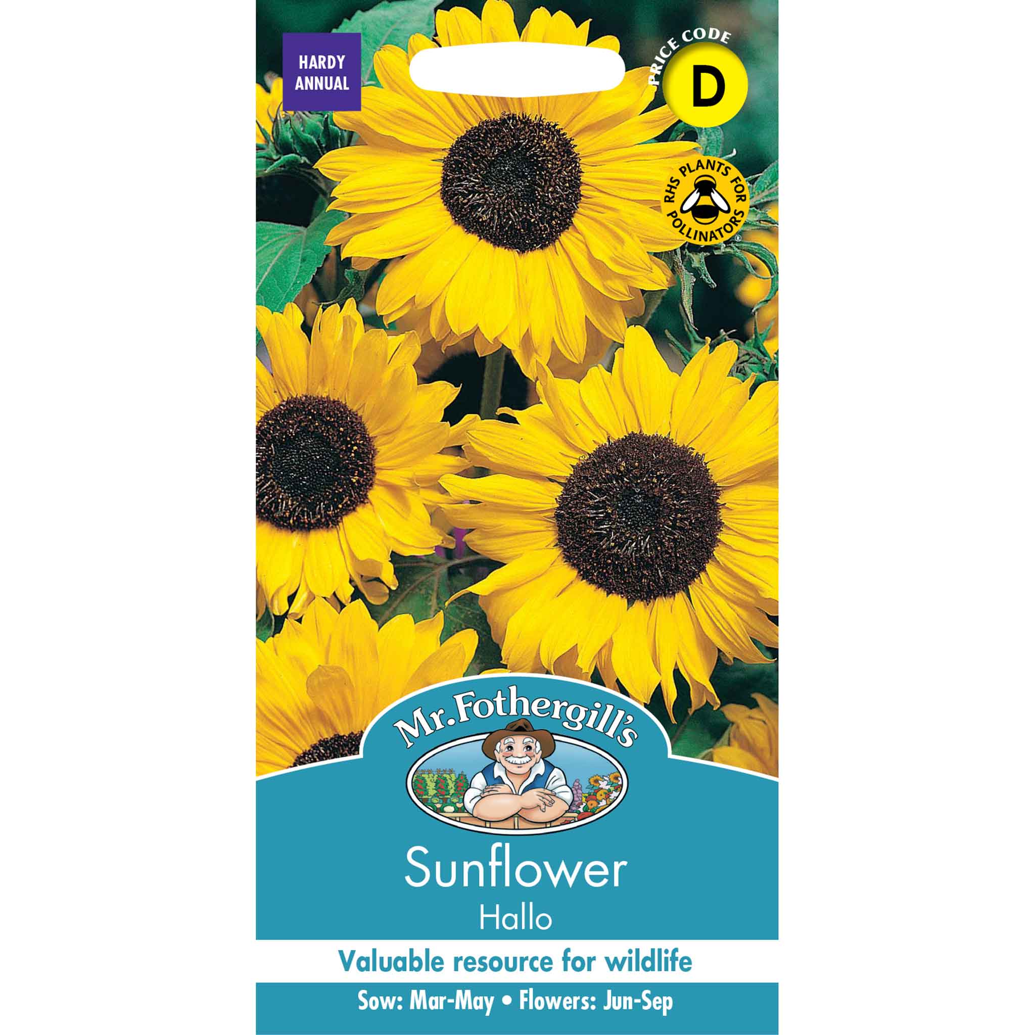17891-Sunflower-Hallo