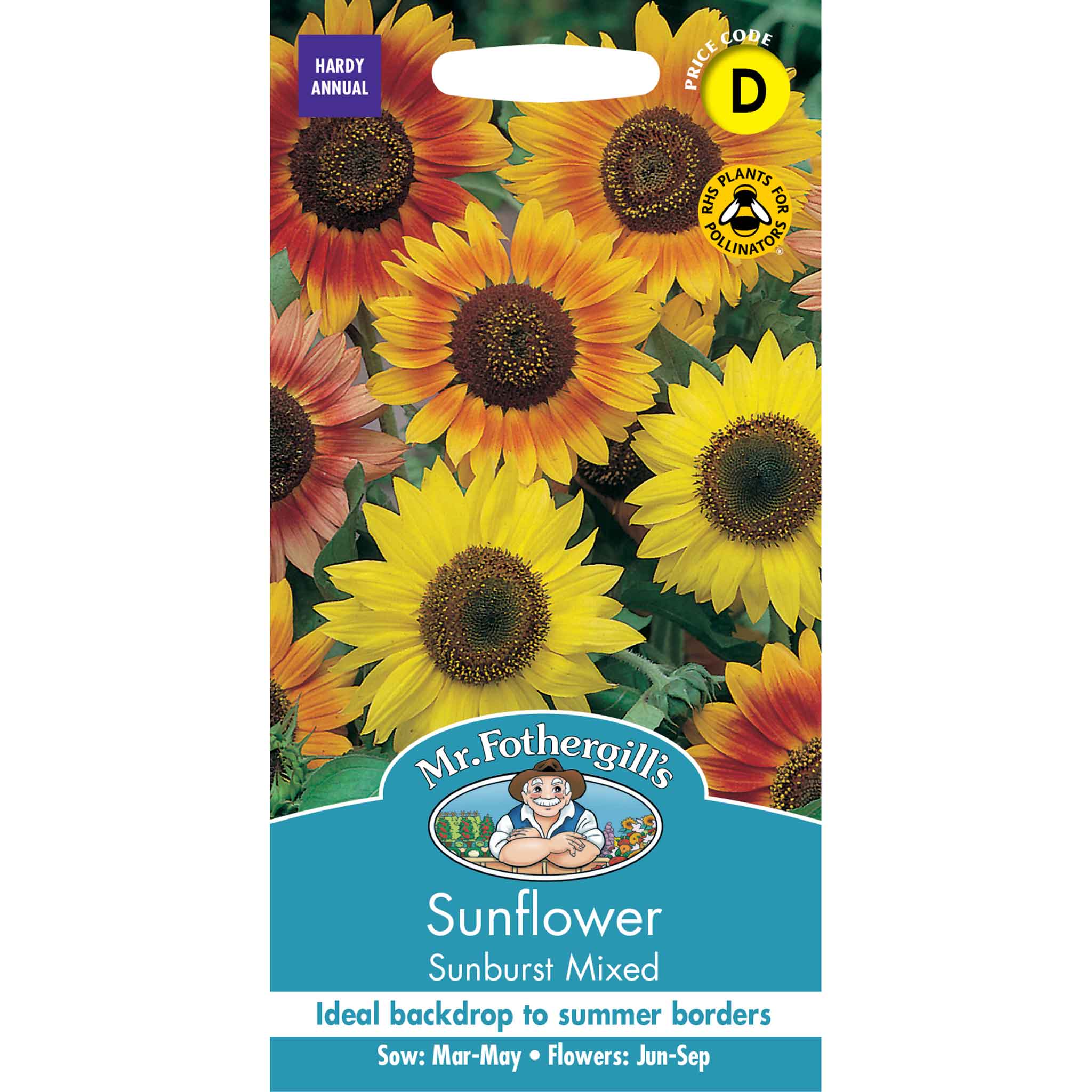 17996-Sunflower-Sunburst
