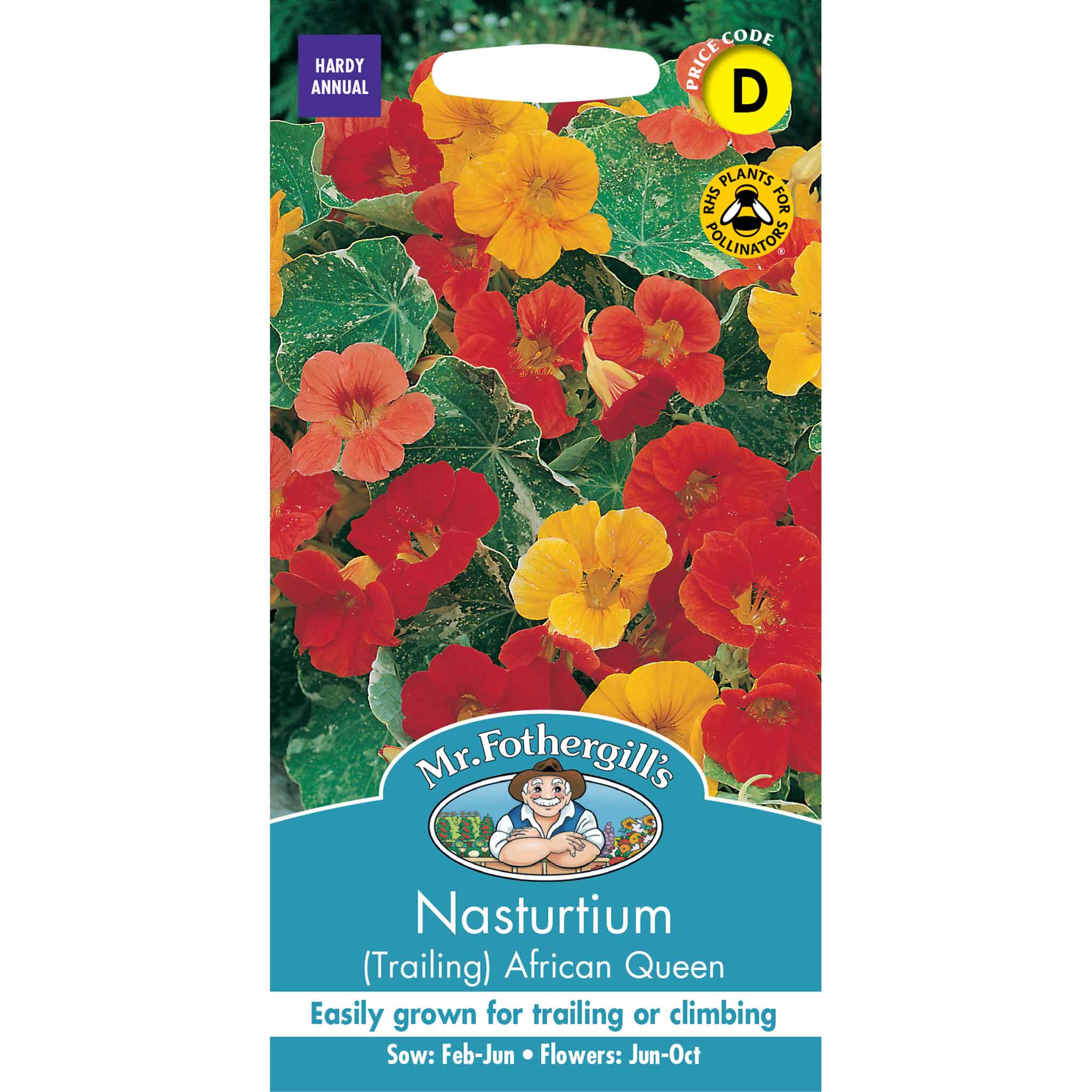 18163-Nasturtium-(Trailing)-African-Queen