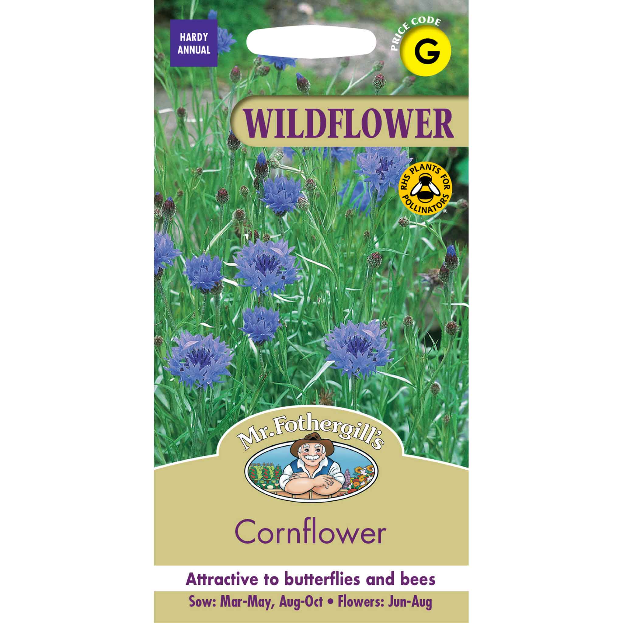 20317-Cornflower-(WildFlower)