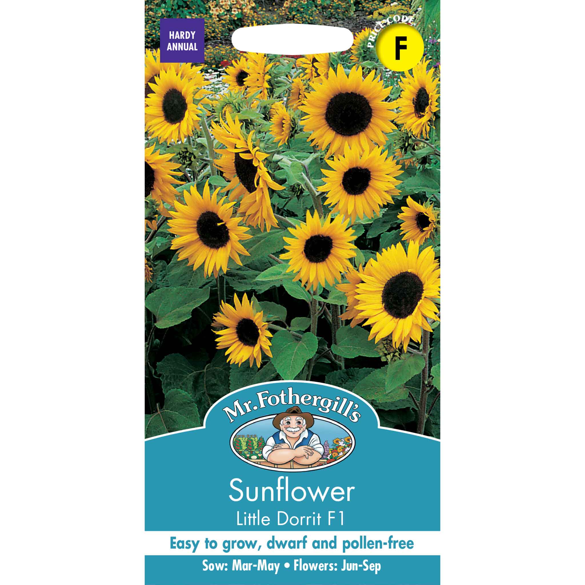 20409-Sunflower-Little-Dorrit-F1