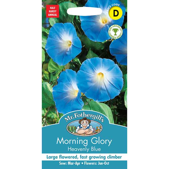 21581-Morning-Glory-Heavenly-Blue