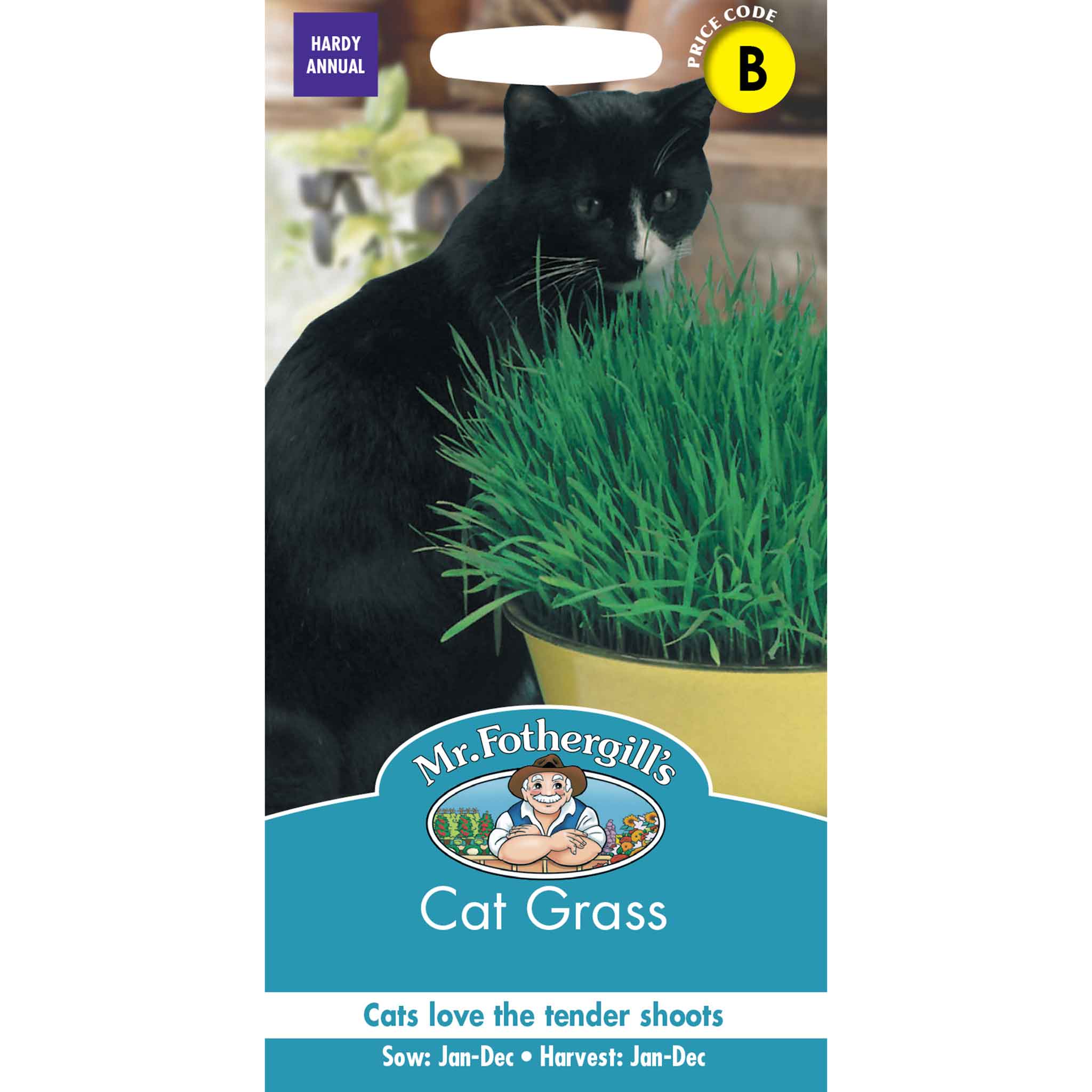 22364-Cat-Grass