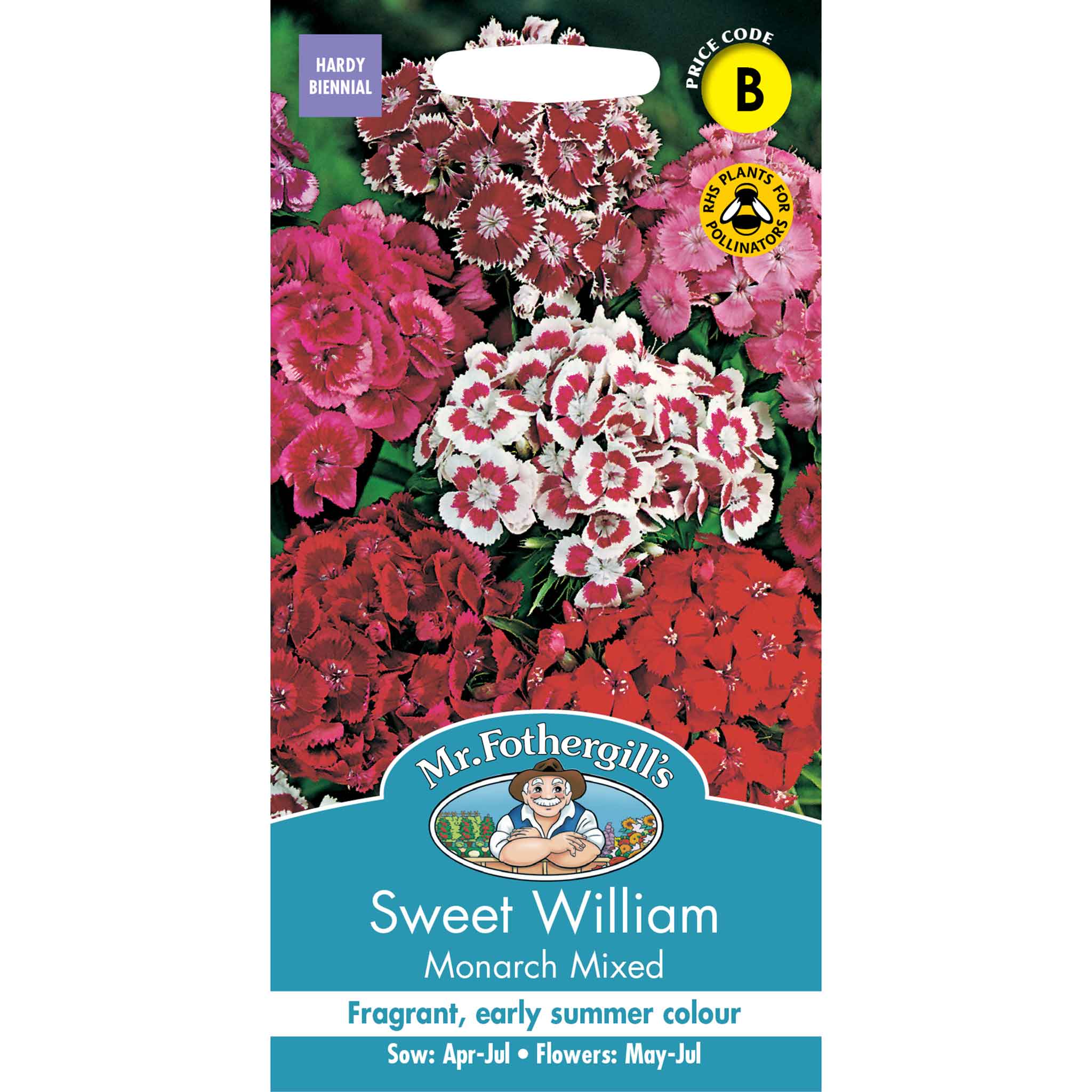 22866-Sweet-William-Monarch-Mixed