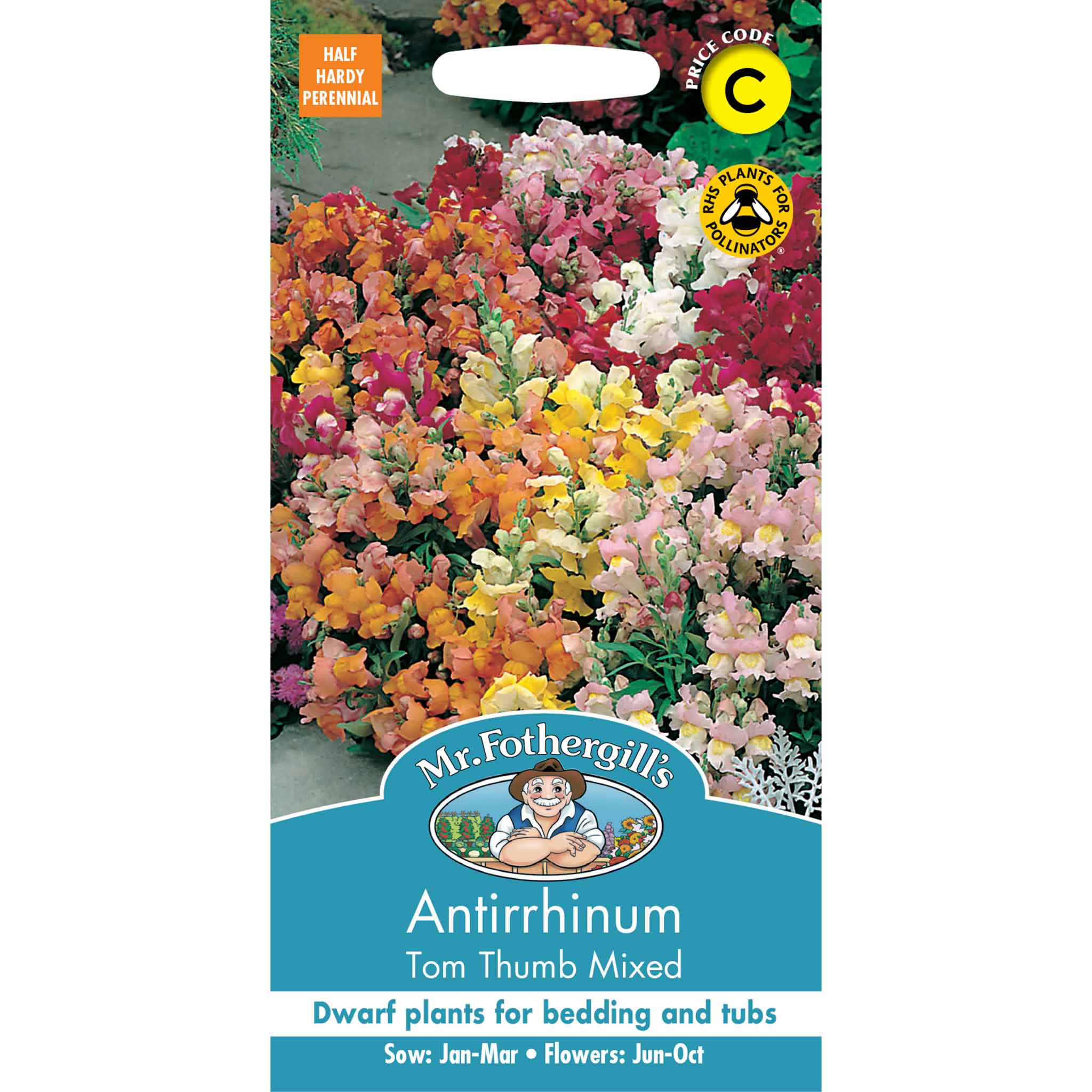 23611-Antirrhinum-Tom-Thumb