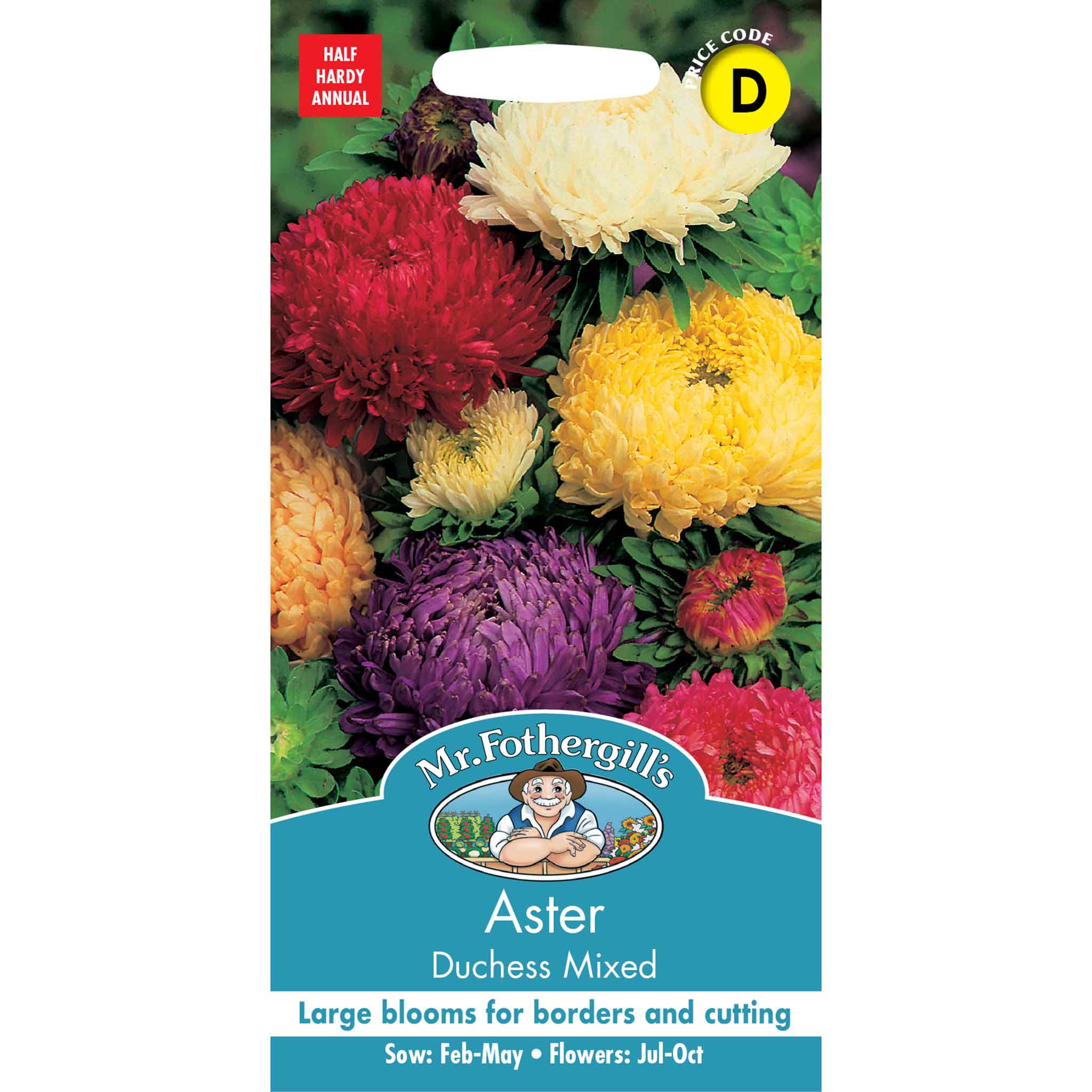 23798-Aster-Duchess-Mixed