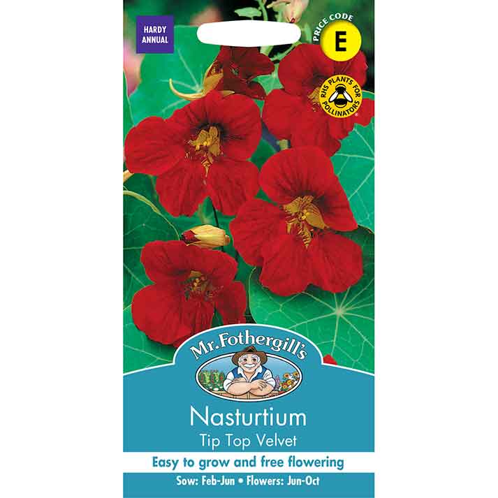 24822-Nasturtium-Tip-Top-Velvet