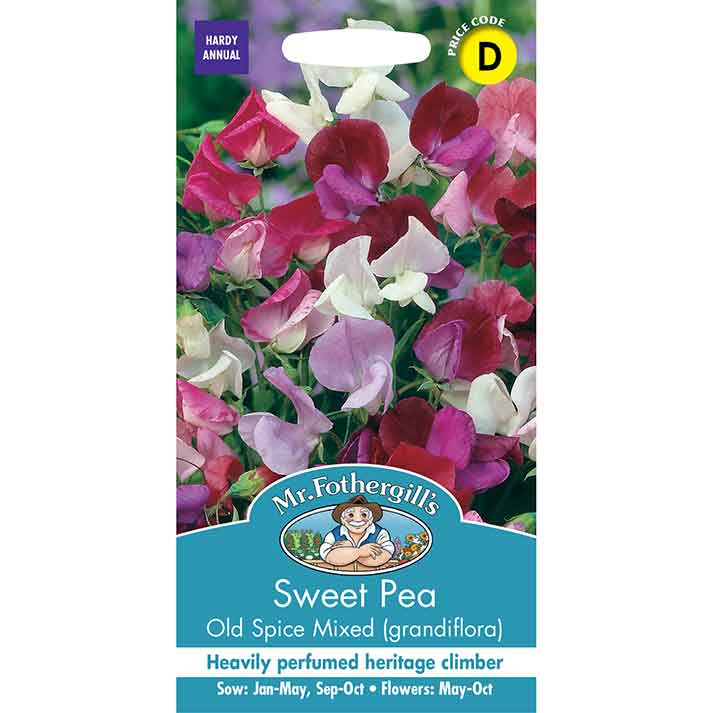 25595-Sweet-Pea-Old-Spice-Mixed-(Grandiflora)