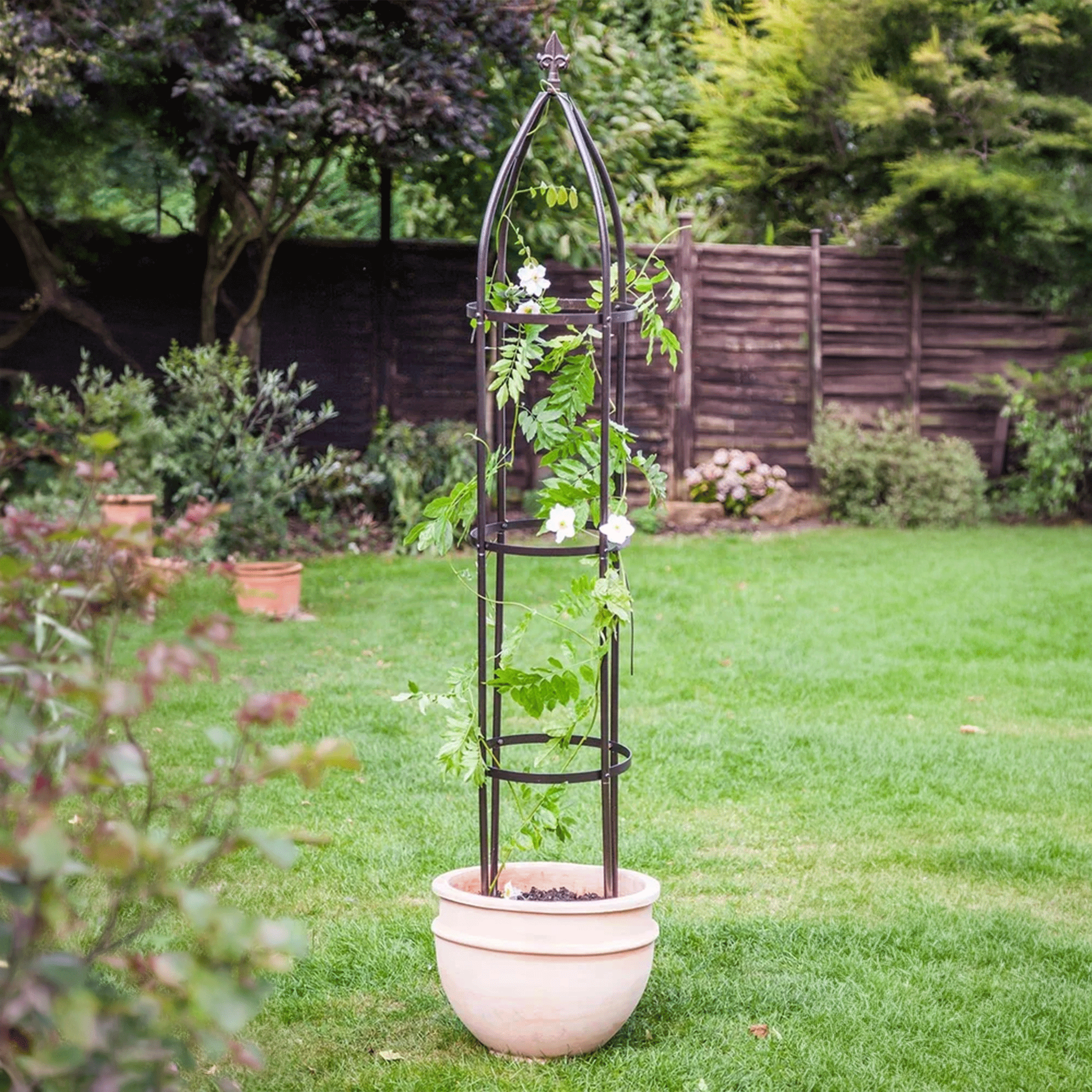 Apollo Classic Obelisk