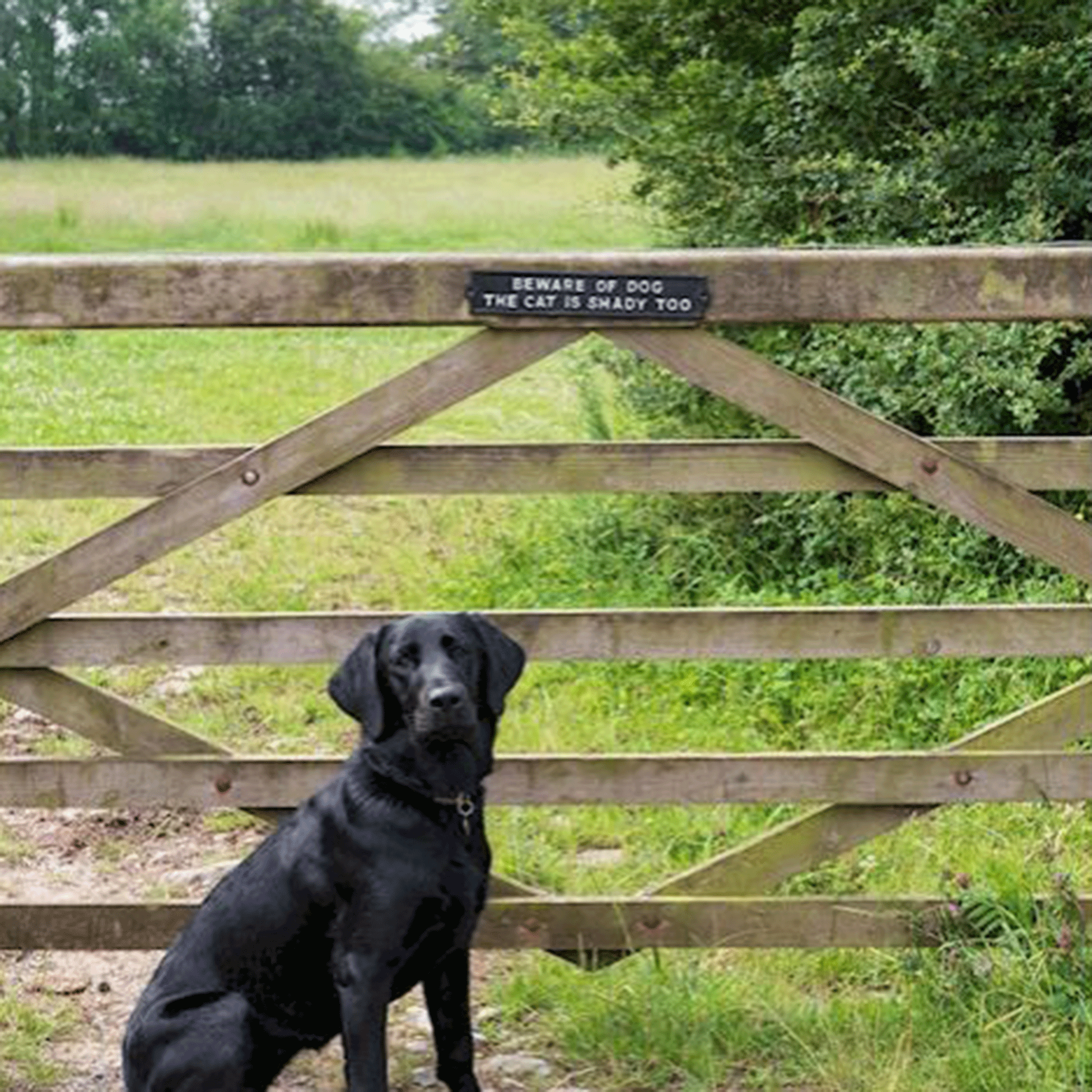 Ascalon Cast Iron 'Beware of Dog The Cat is Shady Too' Sign