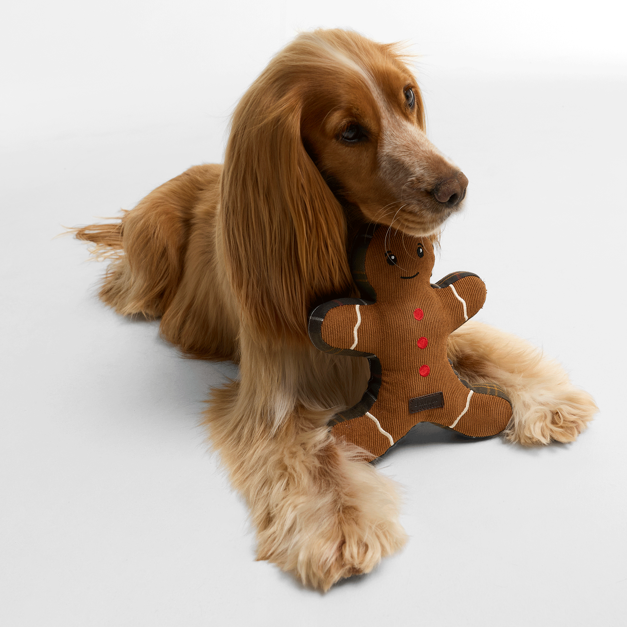 Barbour Christmas Gingerbread Dog Toy Brown