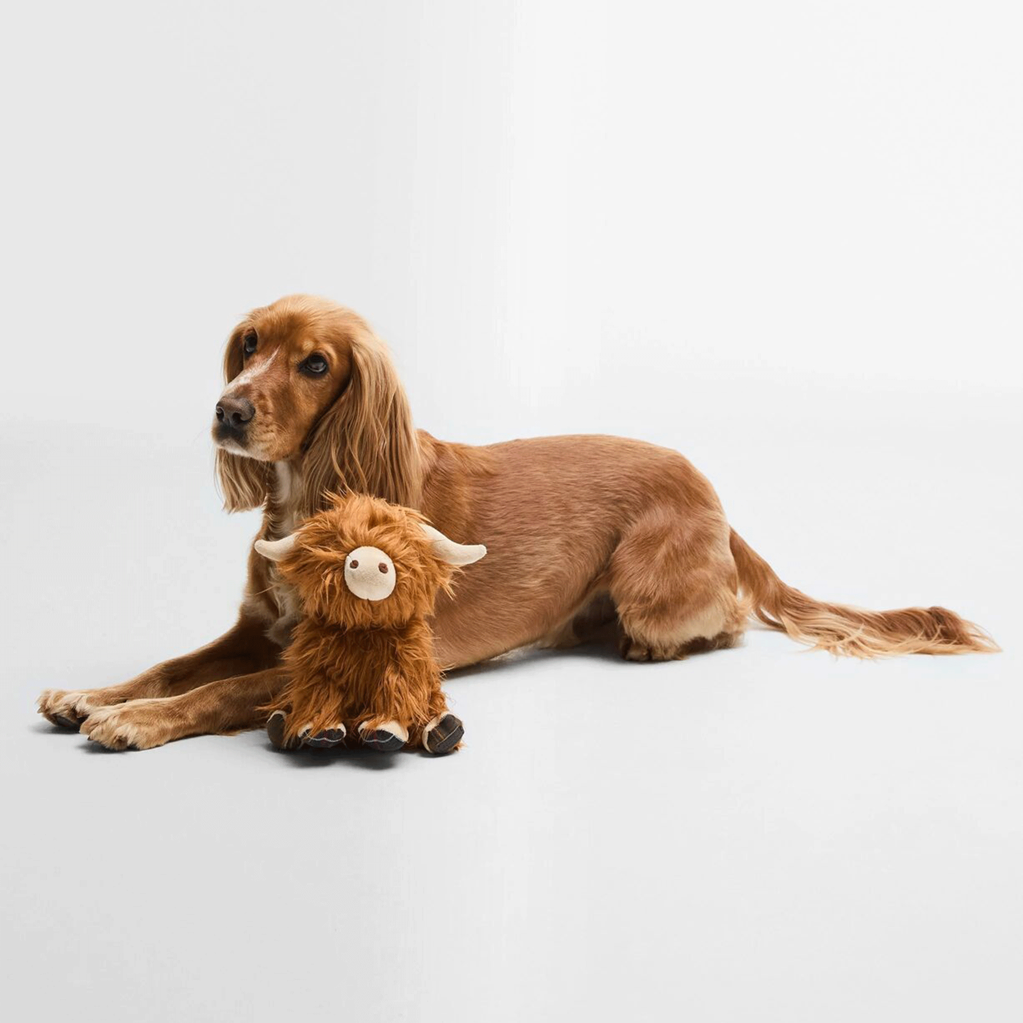 Barbour Highland Cow Soft Dog Toy