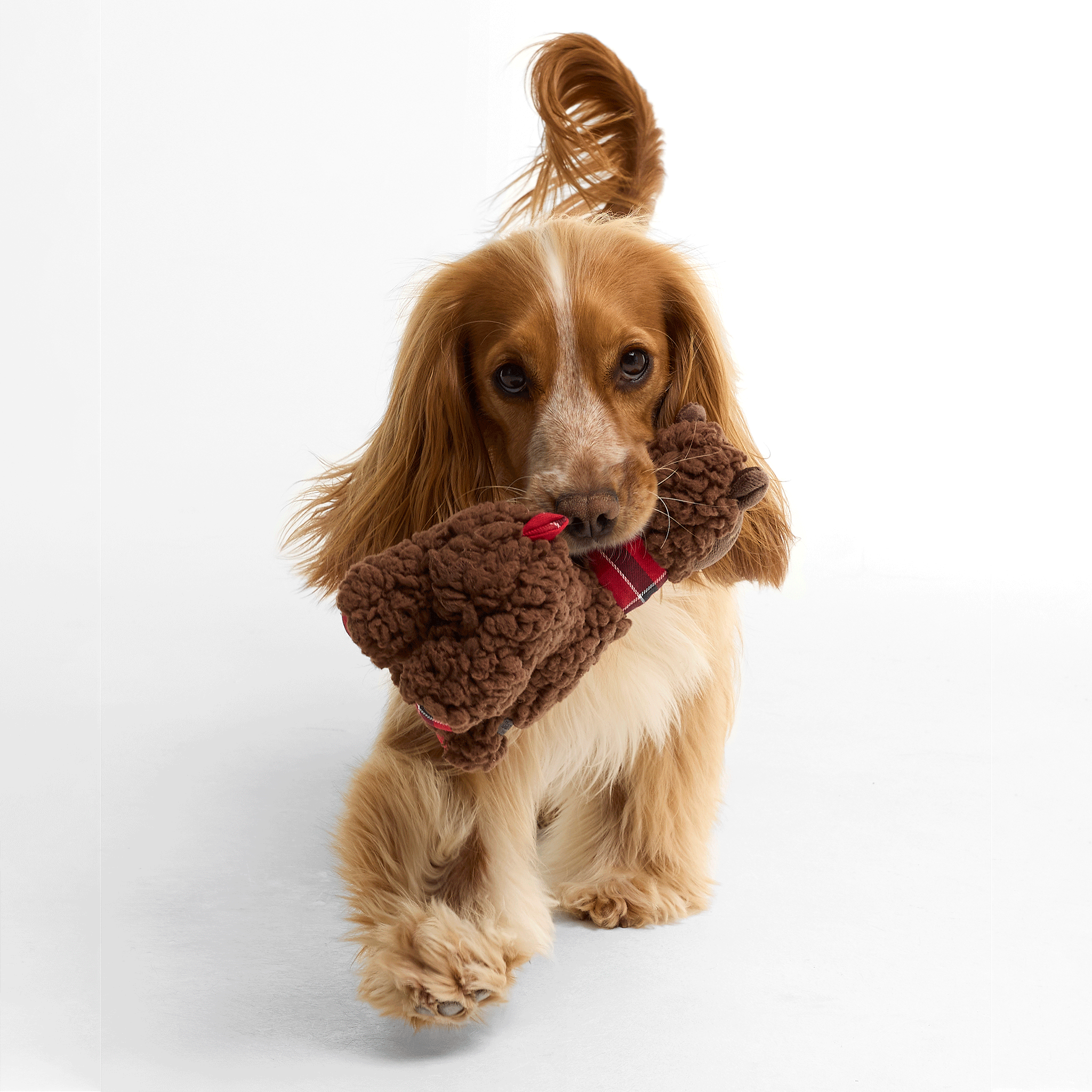 Barbour Llama Dog Toy Brown