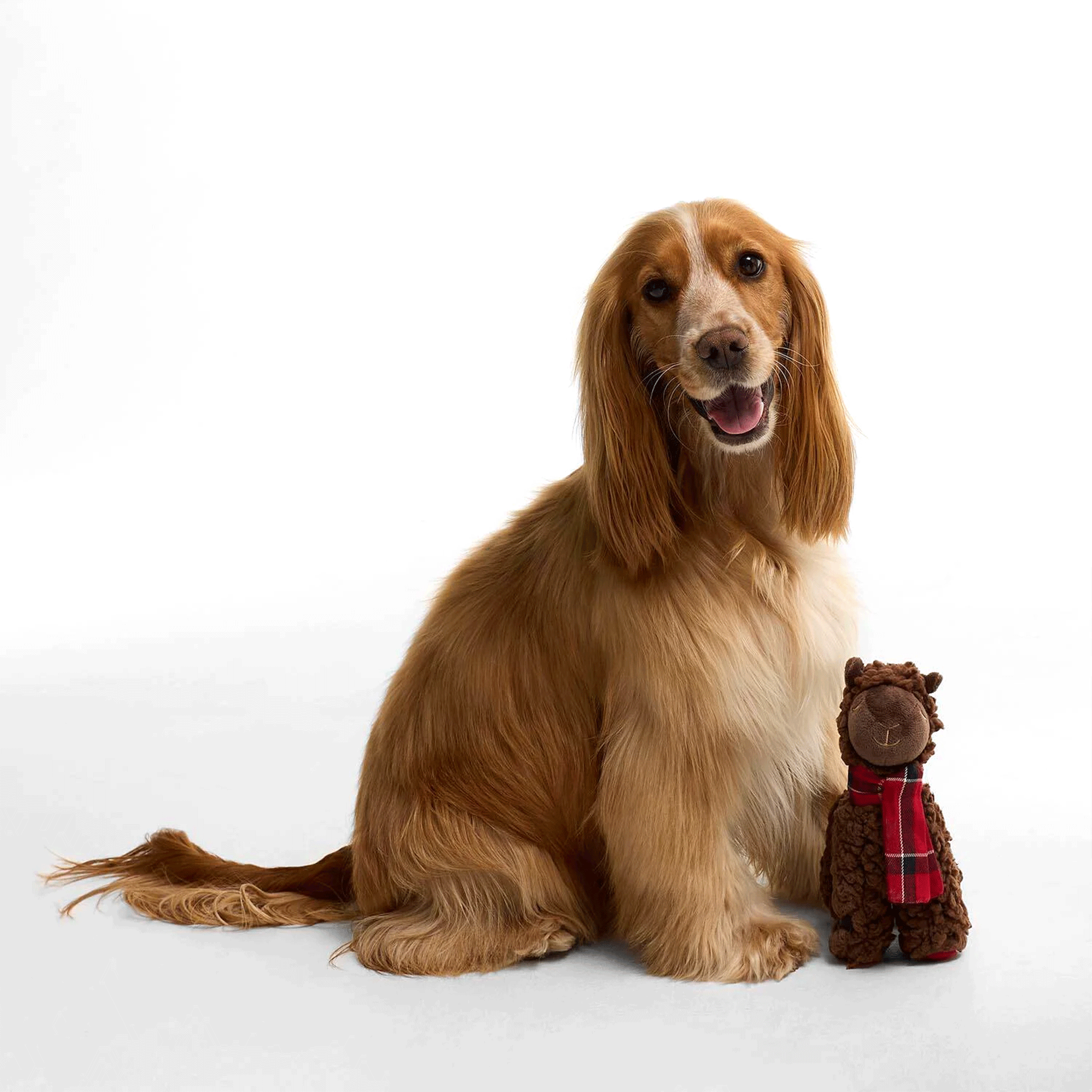 Barbour Llama Dog Toy Brown