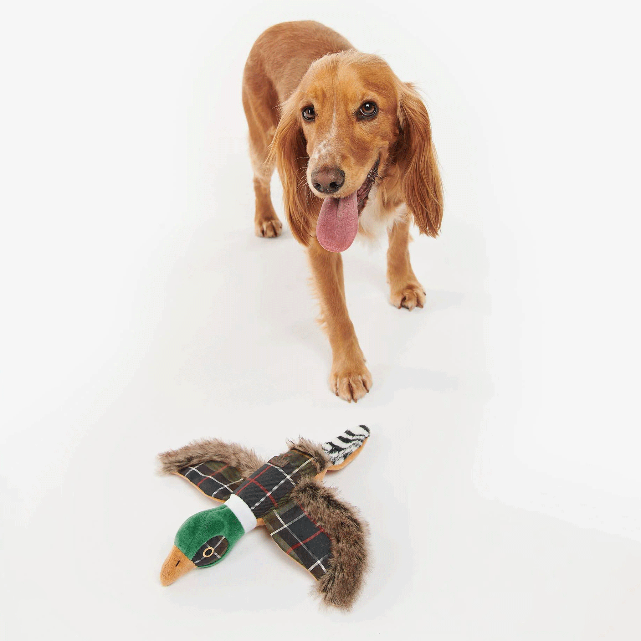 Barbour Pheasant Squeaky Dog Toy Classic Tartan - No Photos