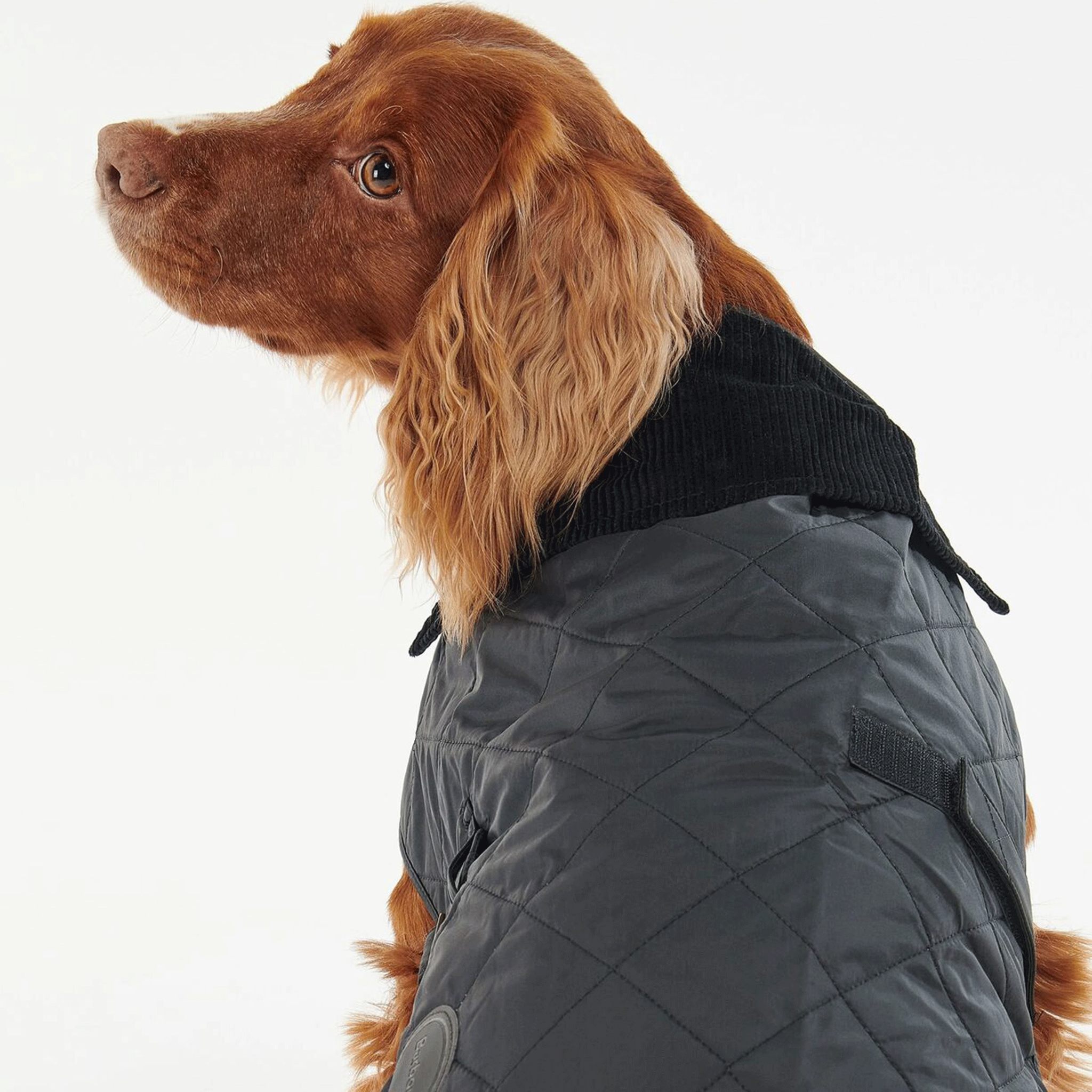 Barbour Quilted Dog Coat Classic Black