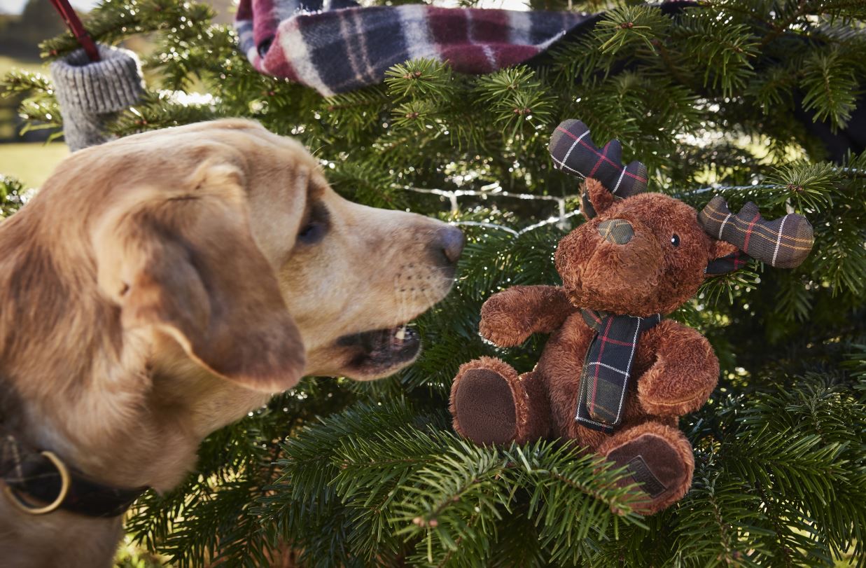 Barbour Reindeer Soft Dog Toy 5