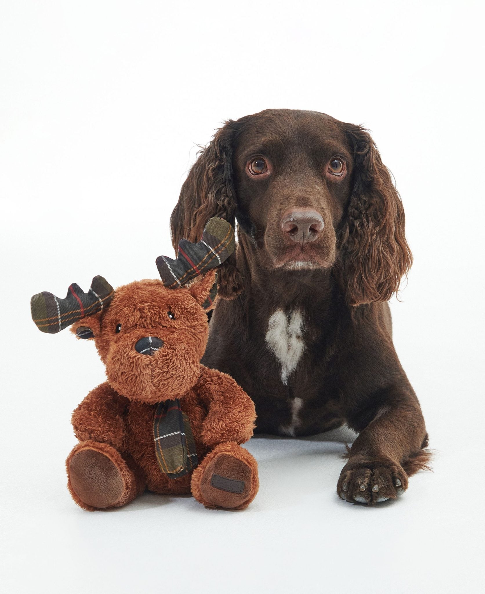 Barbour Reindeer Soft Dog Toy 6