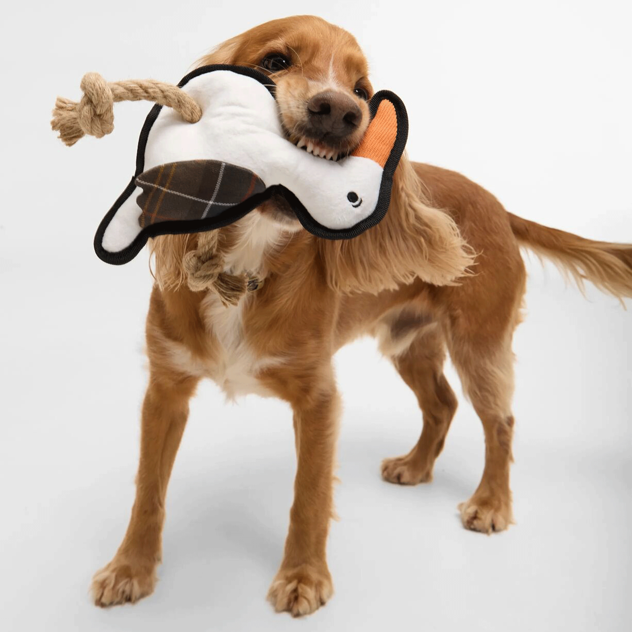 Barbour Seabird Dog Toy White