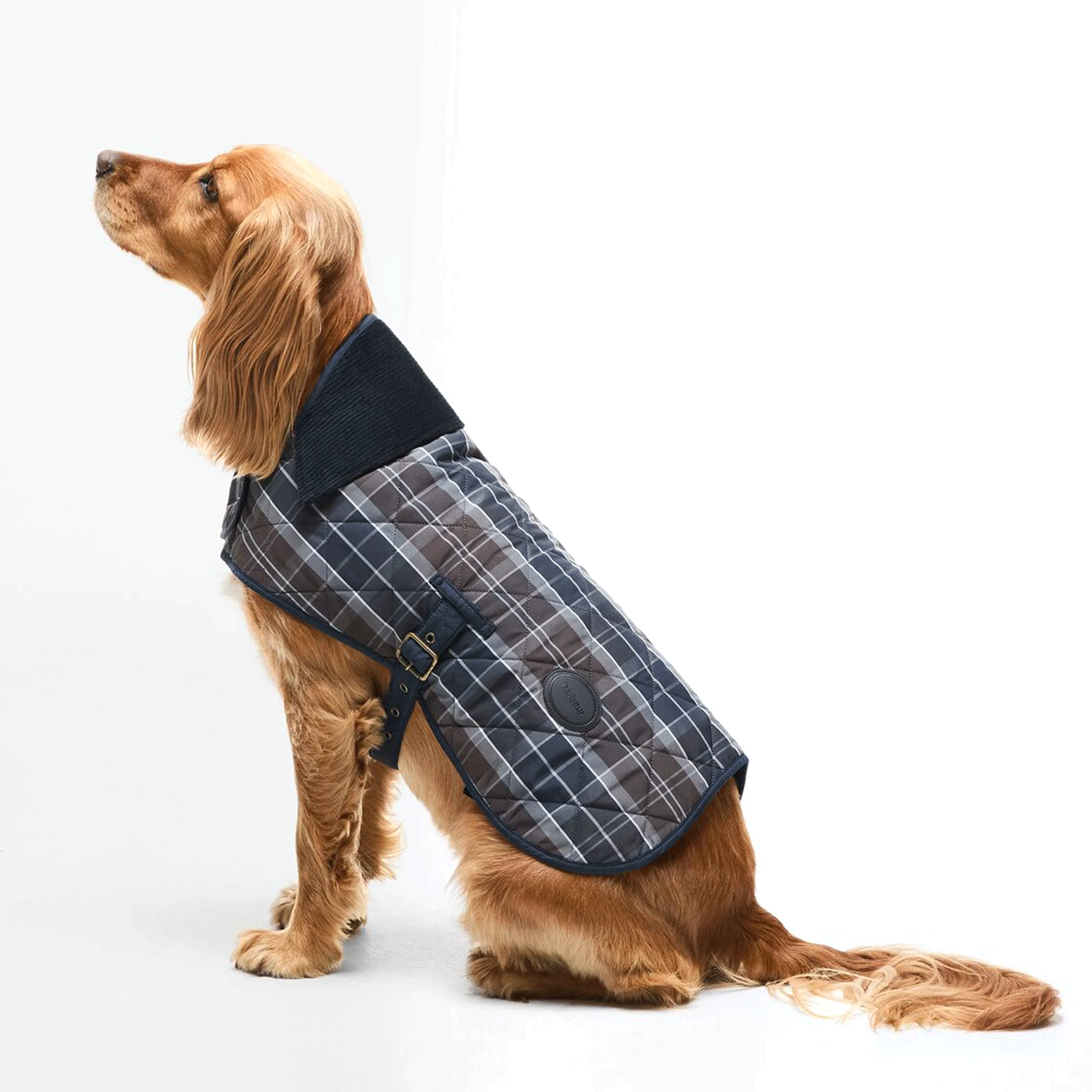 Barbour Tartan Dog Coat Midnight Oak