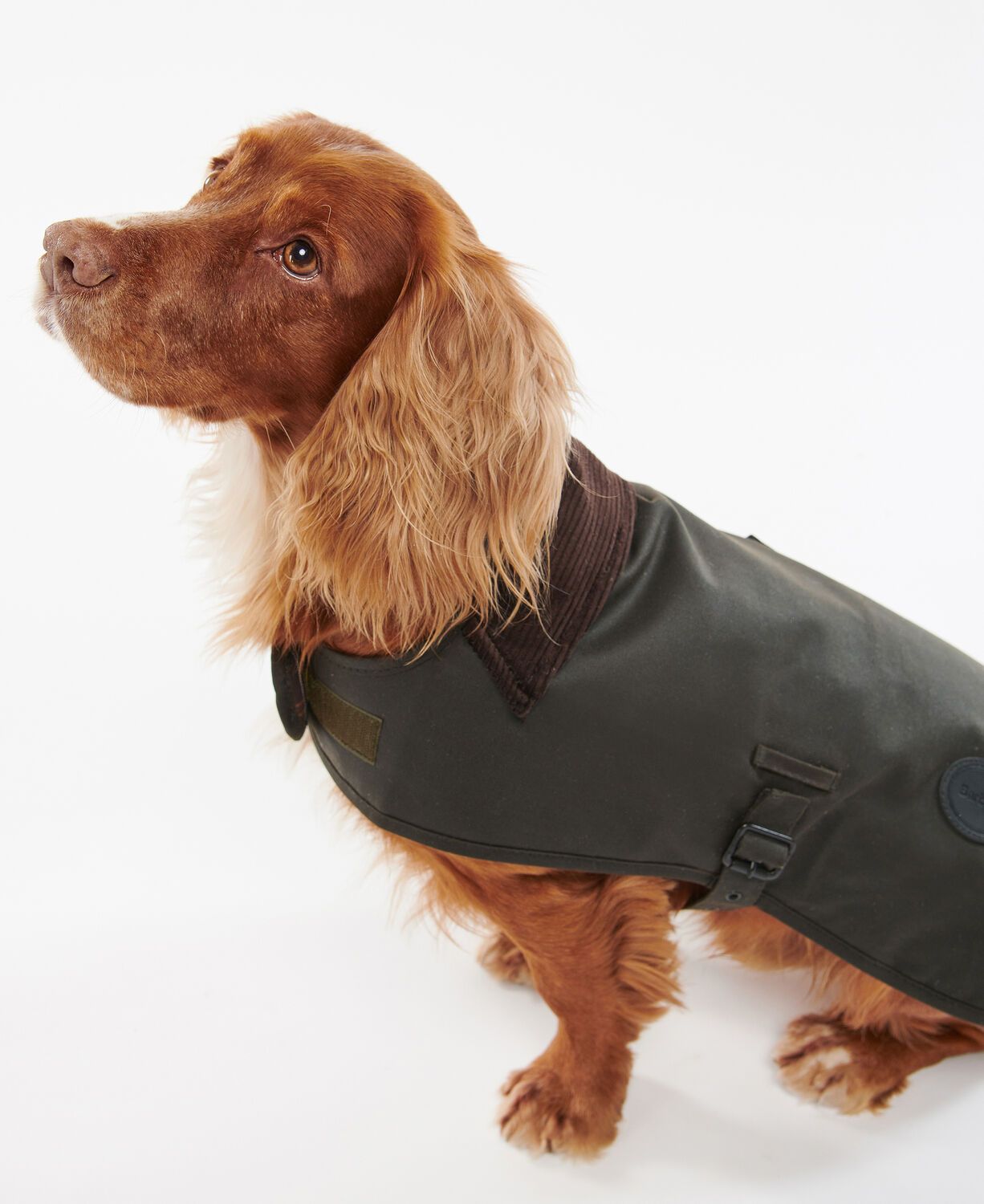 Barbour Wax Dog Coat Olive 5