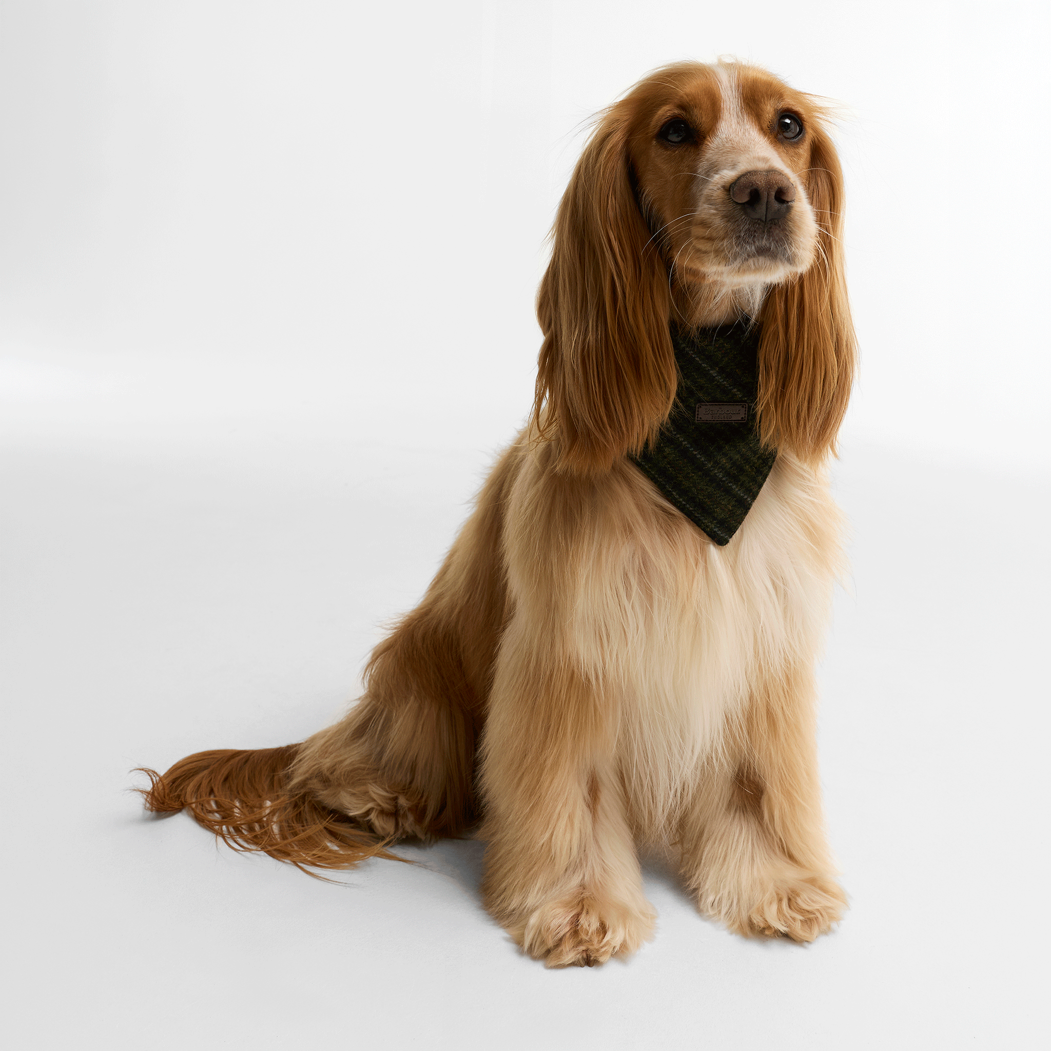 Barbour Wilkin Dog Bandana  Olive Check