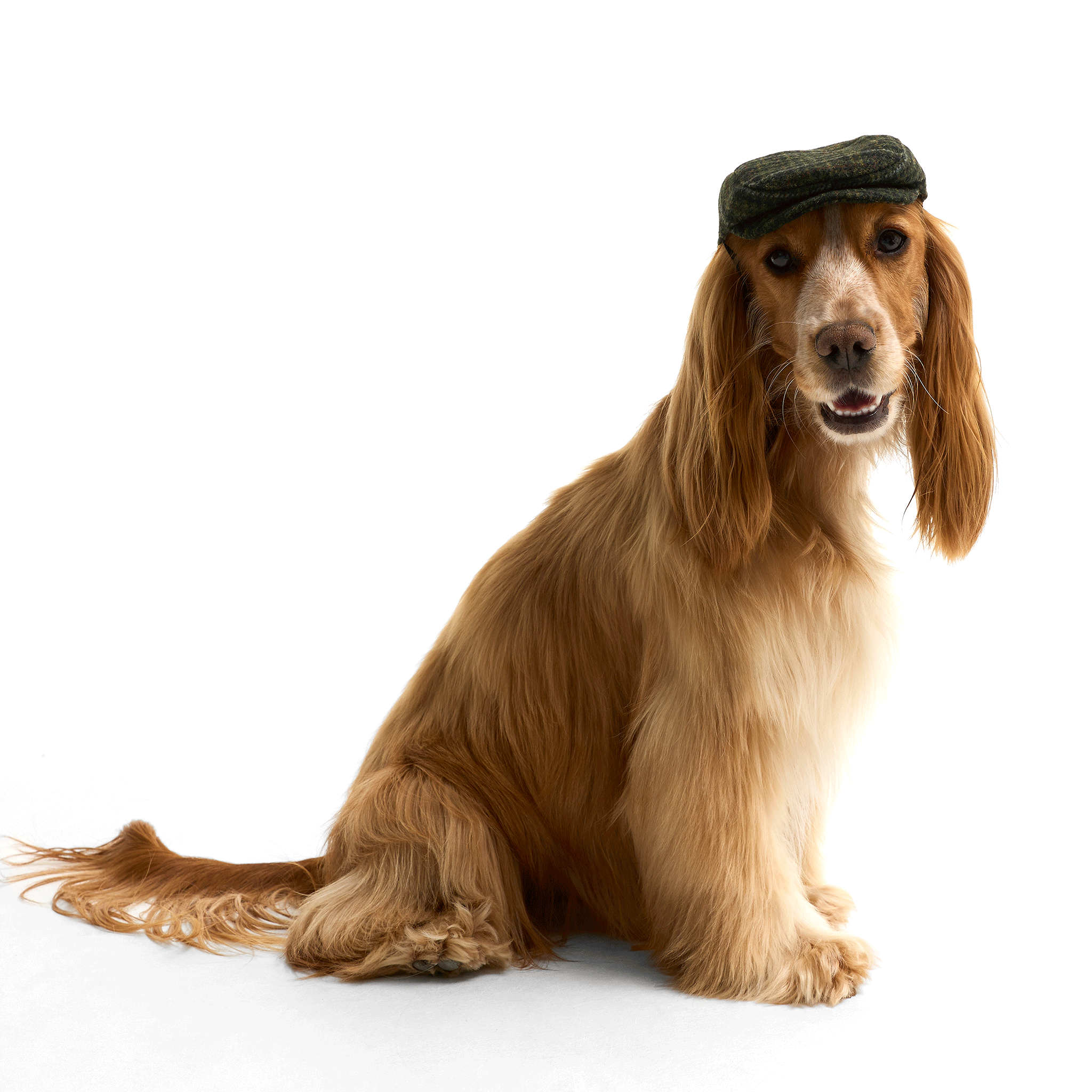 Barbour Wilkin Dog Flat Cap Olive Check