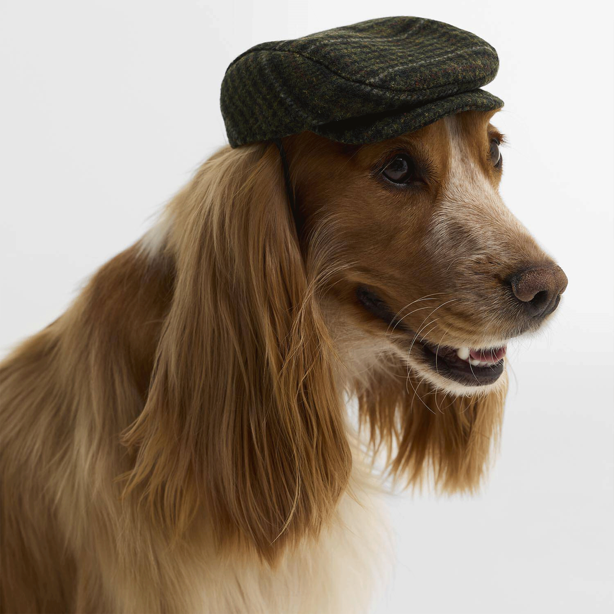 Barbour Wilkin Dog Flat Cap Olive Check