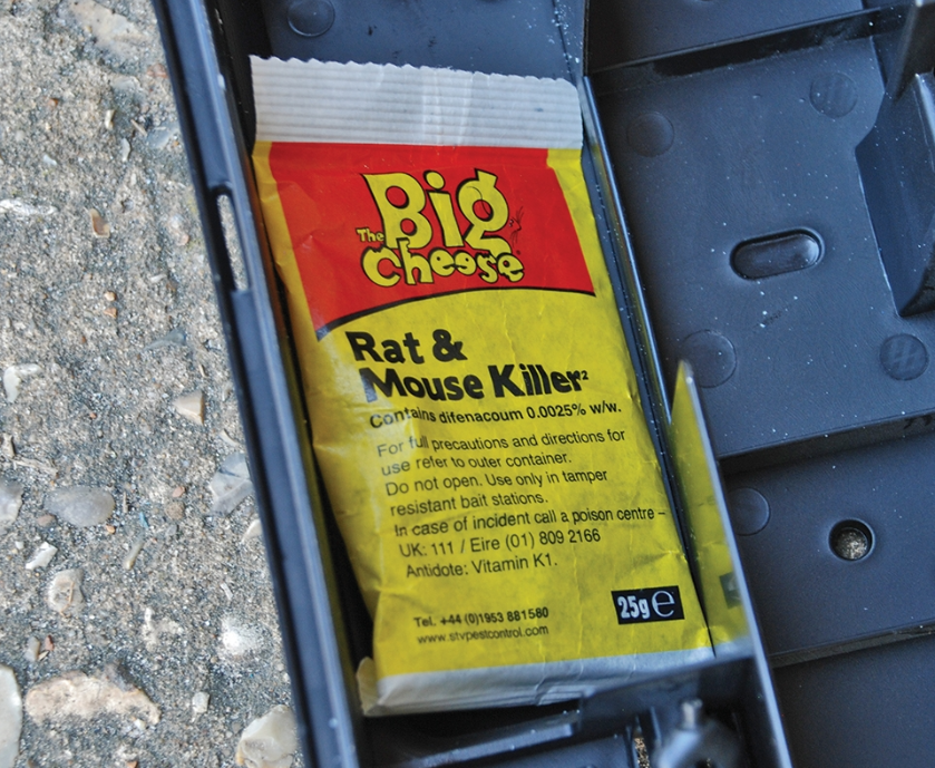 Big Cheese Rat &amp; Mouse Grain Bait Sachets (6x25G) 2