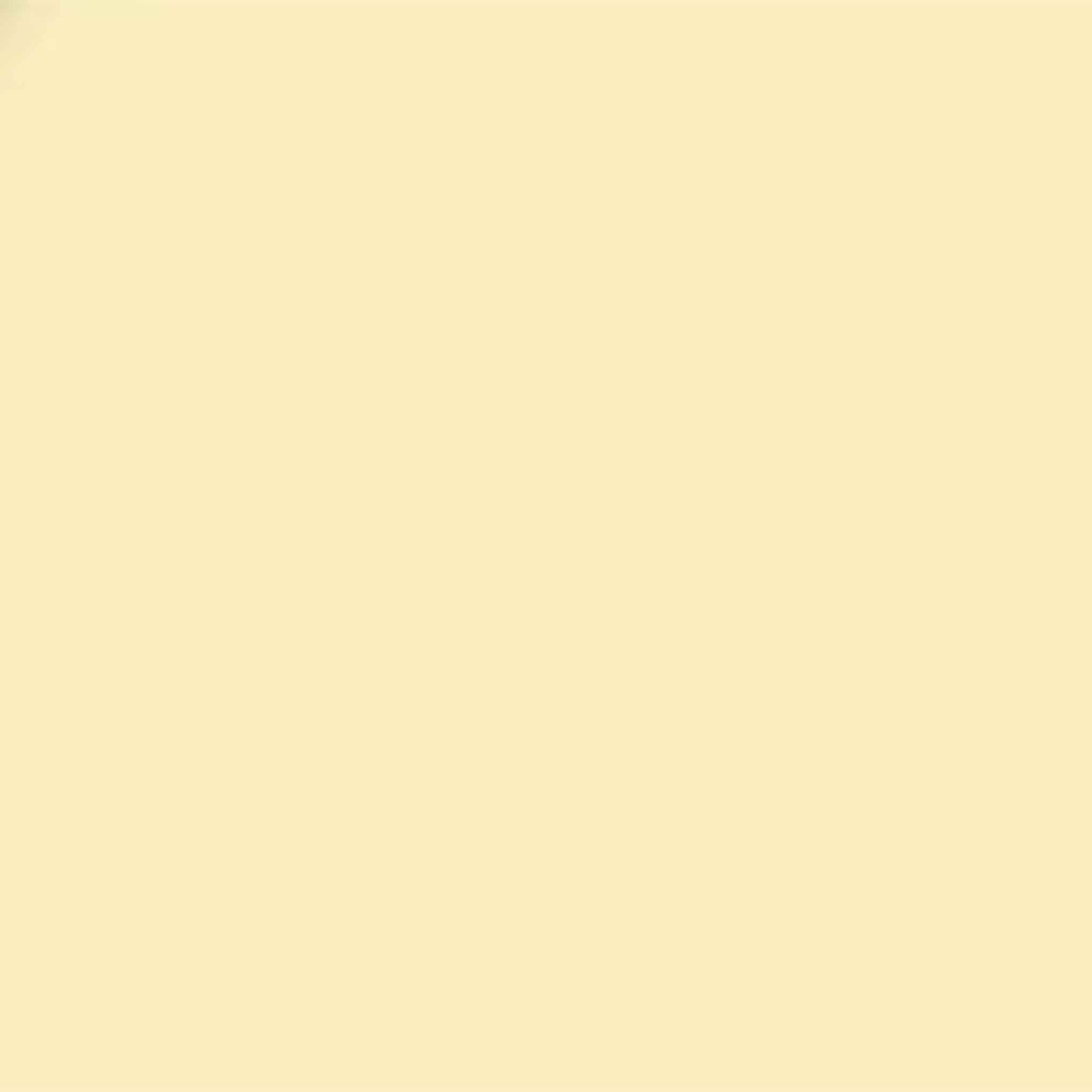 Bedec Extra Flex Masonry Paint