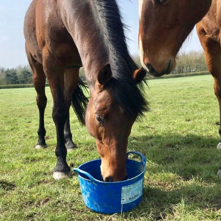 DK Keith Equine Essential Flexi Tub 12.5kg