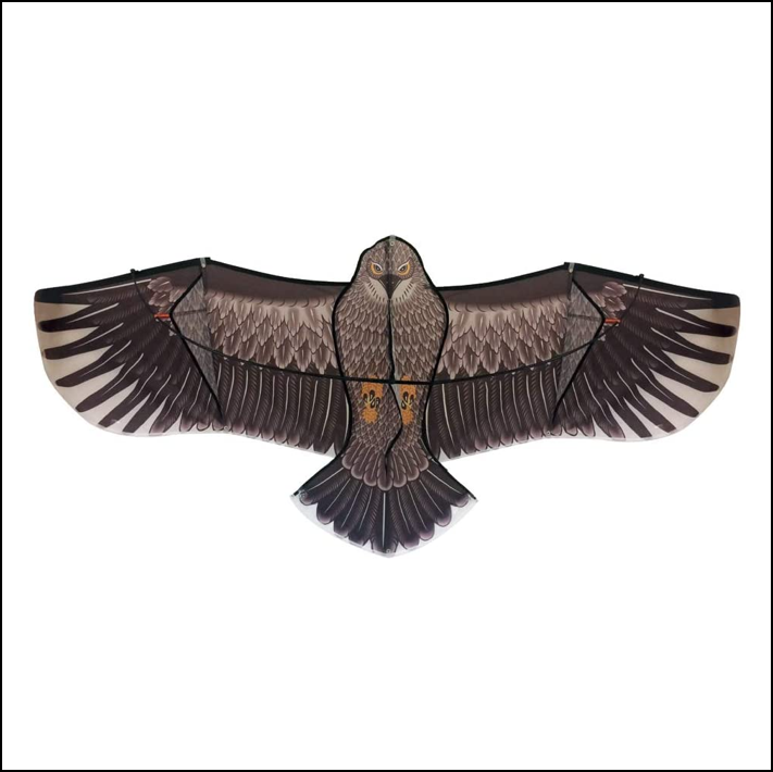 Defenders Swoop All-in-One Hawk Kite Kit 2