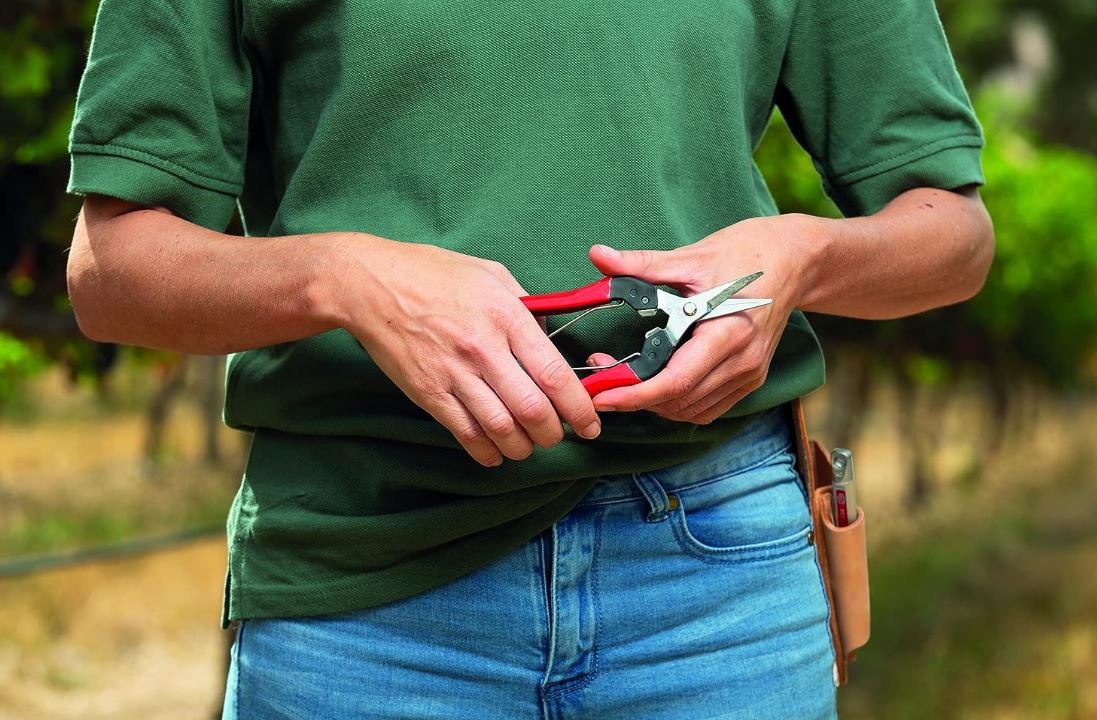 Felco 321 Picking & Trimming Snips 5