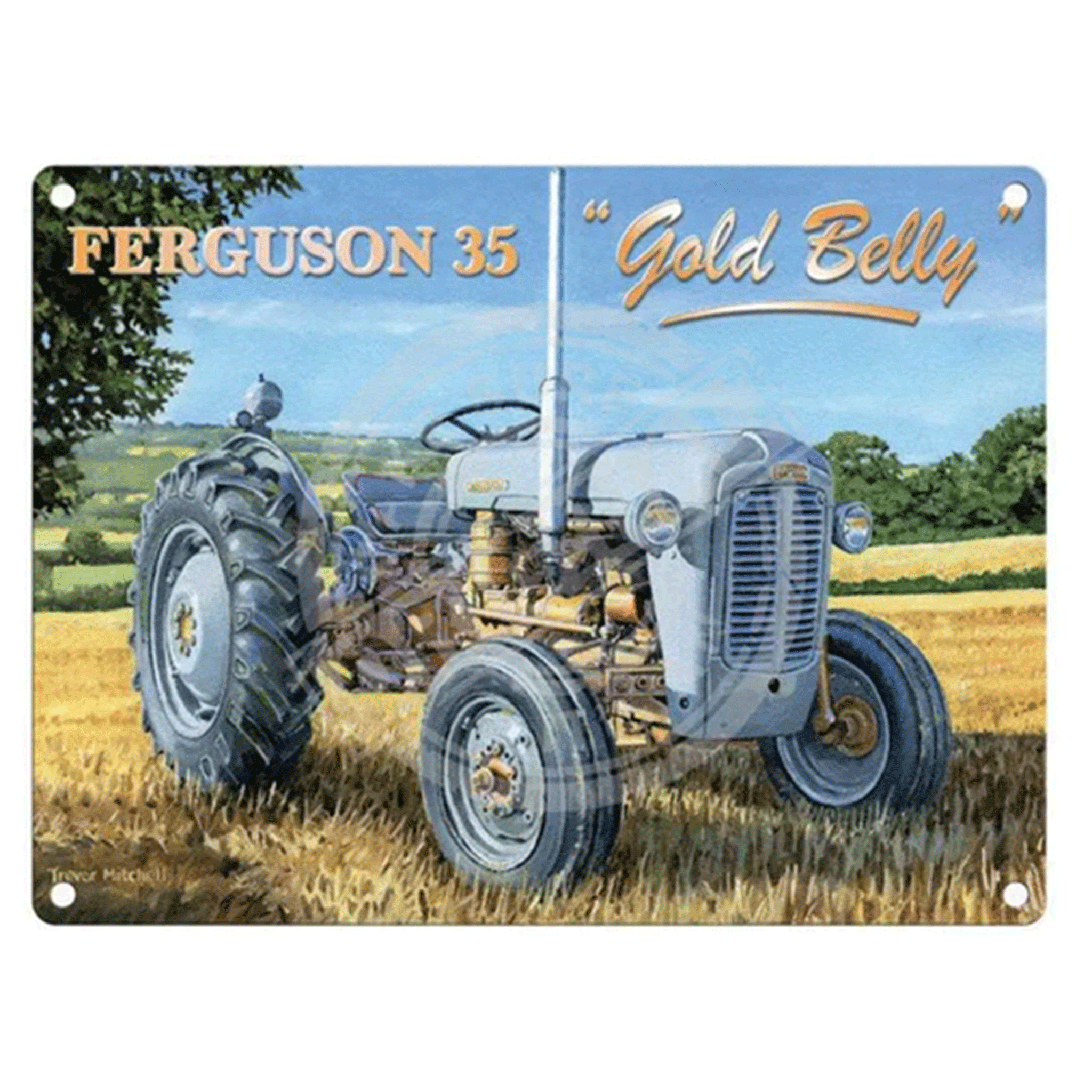 Ferguson 35 Gold Belly Vintage Metal Sign 30x40cm