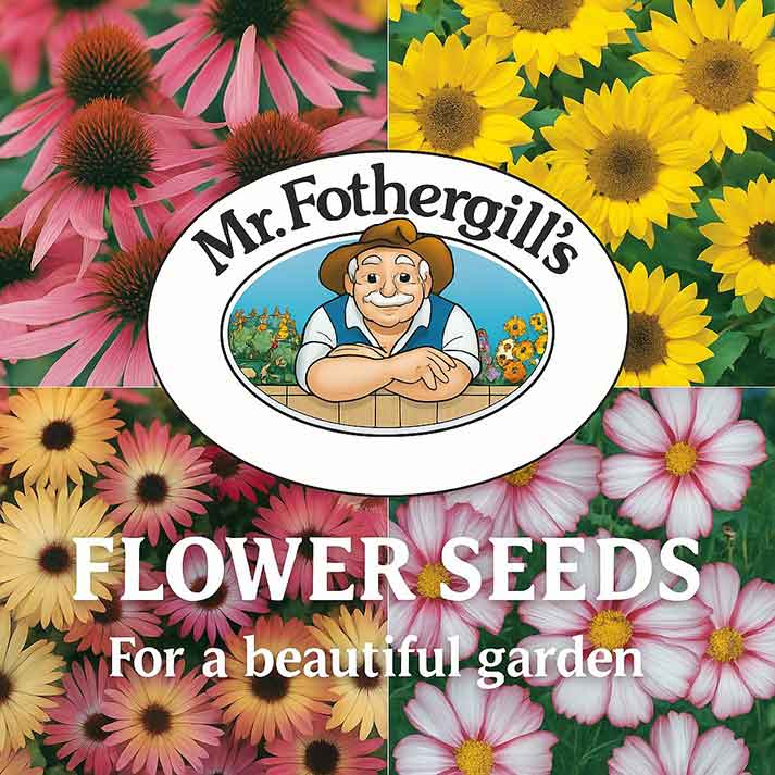 Flower-Seeds