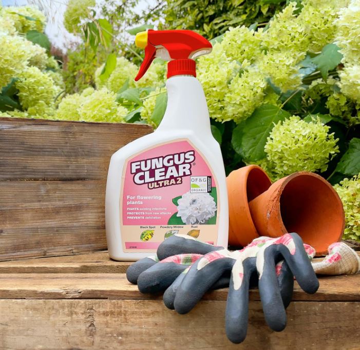 FungusClear Ultra 2 Spray 800ml 2