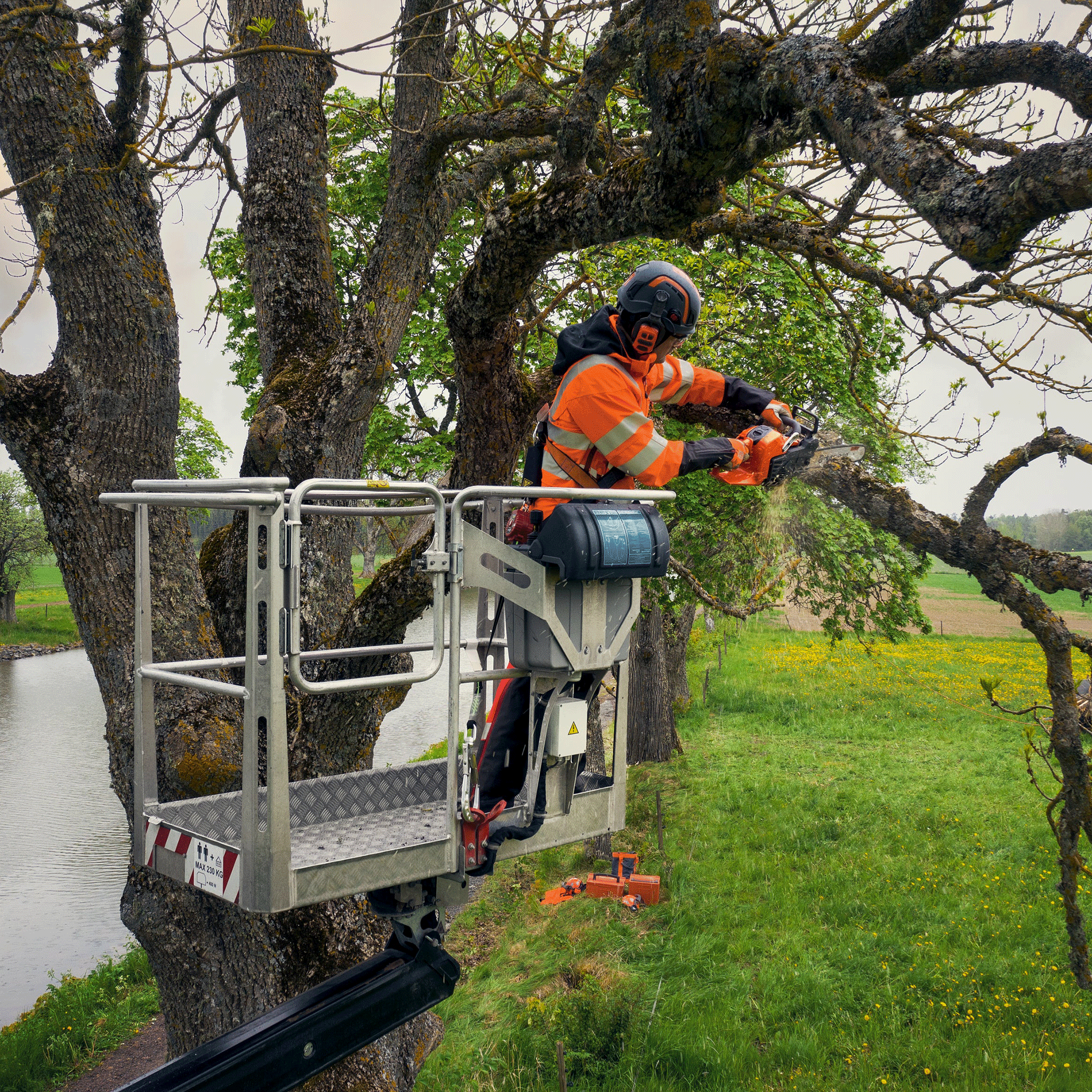 Husqvarna 540 XP Mark III Chainsaw 16"